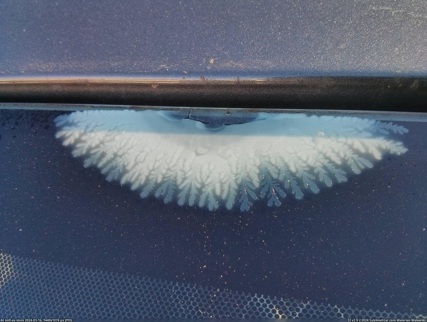 #Pattern #Delaminating #Windshield [Mildlyinteresting] This windshield is delaminating in a pattern. Pic. (Image of album My r/MILDLYINTERESTING favs))