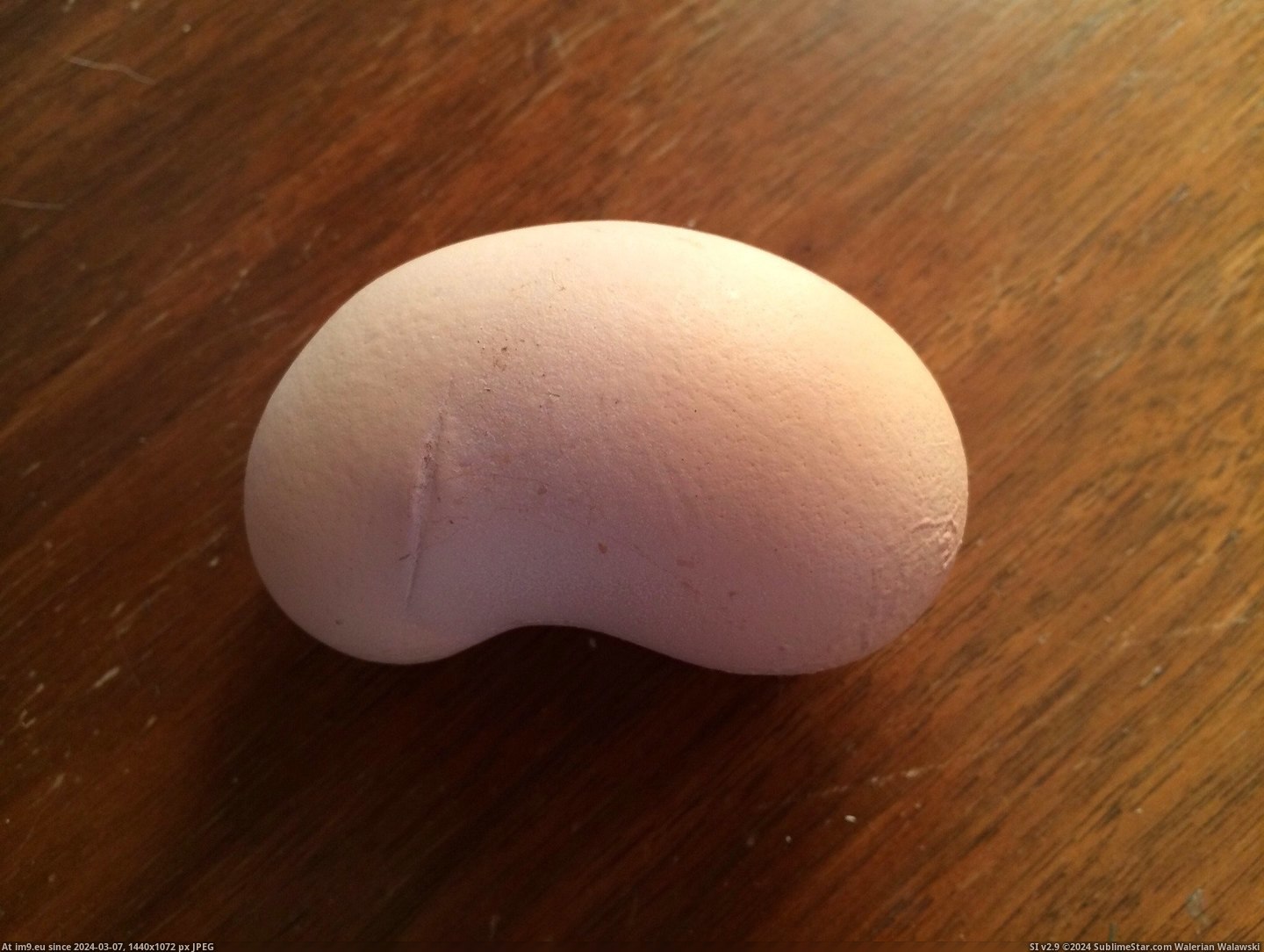 #One #Shaped #Chickens #Bean #Kidney #Egg #Laid [Mildlyinteresting] Today one of my chickens laid an egg shaped like a kidney bean. Pic. (Изображение из альбом My r/MILDLYINTERESTING favs))