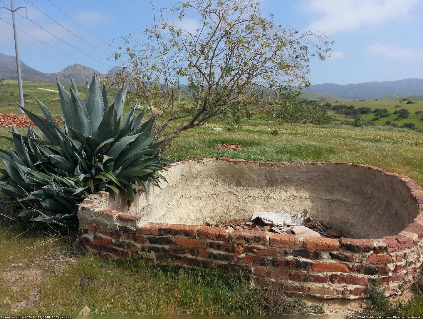 #Old #Brick #Resemble #Structure #Cactus #Pineapple [Mildlyinteresting] Together this old brick structure and cactus resemble a pineapple Pic. (Bild von album My r/MILDLYINTERESTING favs))
