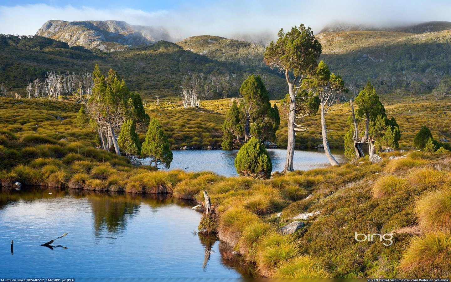 Mountain tarns ringed with pencil pines on Cradle Mountain-Lake St. Clair National Park, Tasmania, Australia (in Bing Photos November 2012)