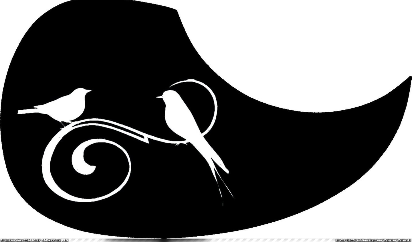 #Pick #Birds #Swirl #Guard Pick Guard - Birds and Swirl Pic. (Image of album Custom Pickguard Art))