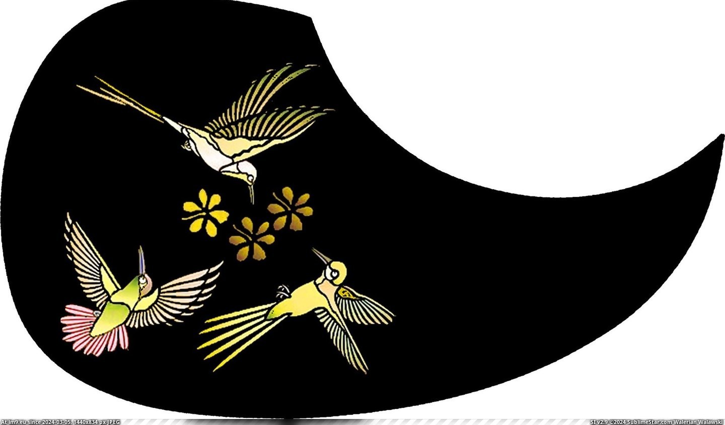 #Pick #Circle #Hummingbird #Guard Pick Guard - Hummingbird Circle Pic. (Obraz z album Custom Pickguard Art))