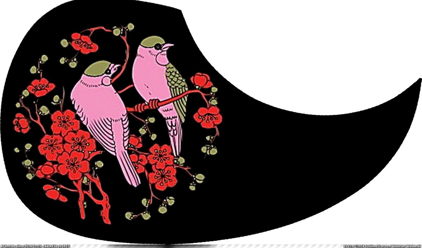 #Pink #Guard #Birds #Pick Pick Guard - pINK bIRDS Pic. (Изображение из альбом Custom Pickguard Art))