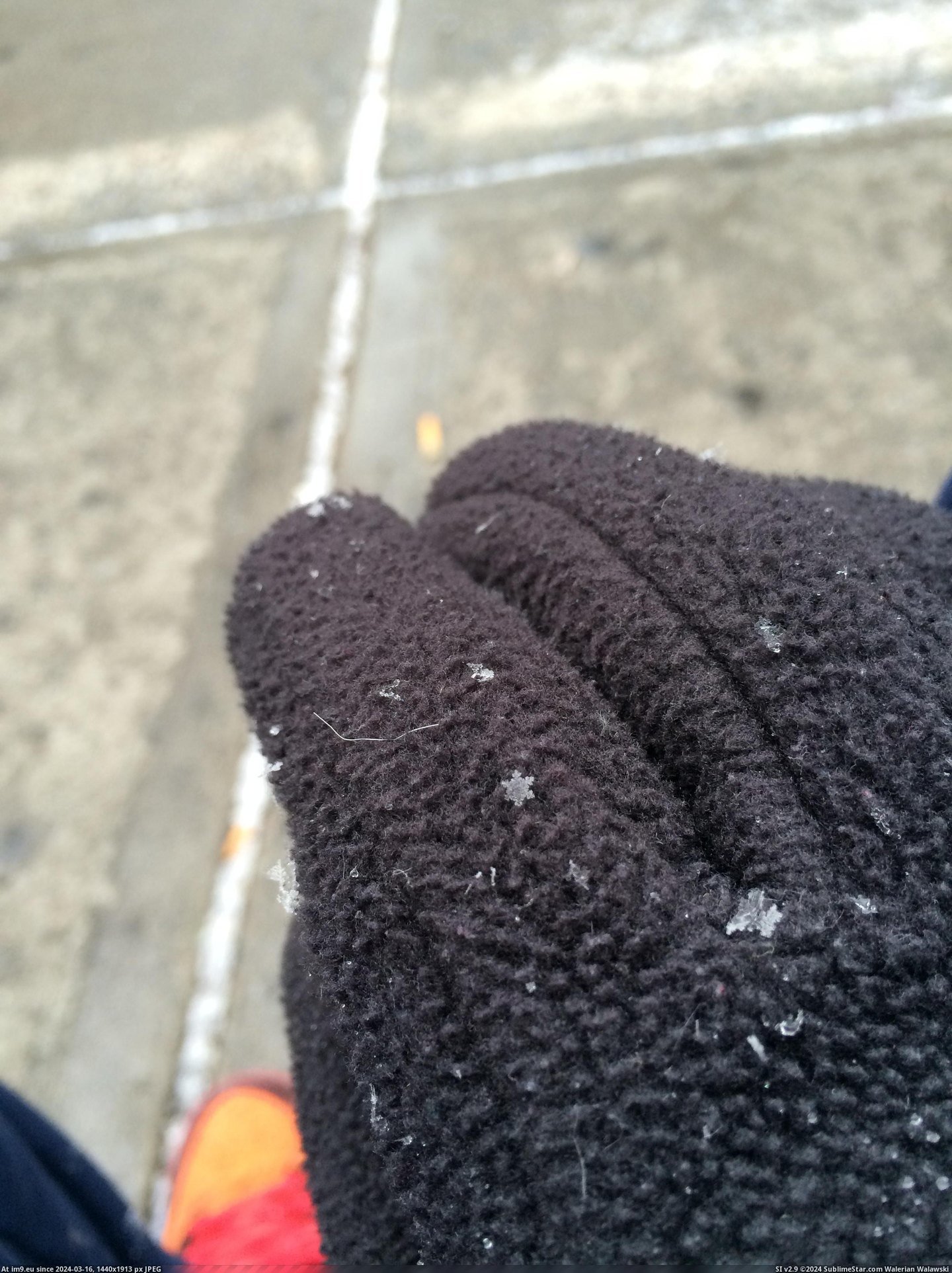 #Perfect #Landed #Glove #Snowflake [Pics] A near-perfect snowflake just landed on my glove Pic. (Изображение из альбом My r/PICS favs))