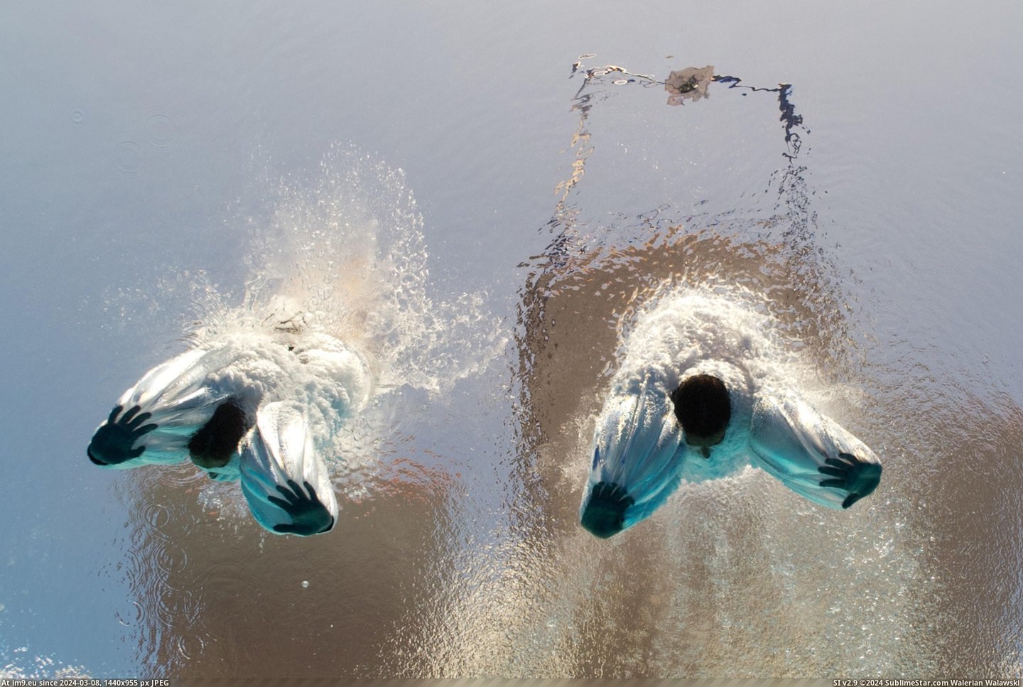  #Splash  [Pics] After the splash Pic. (Obraz z album My r/PICS favs))