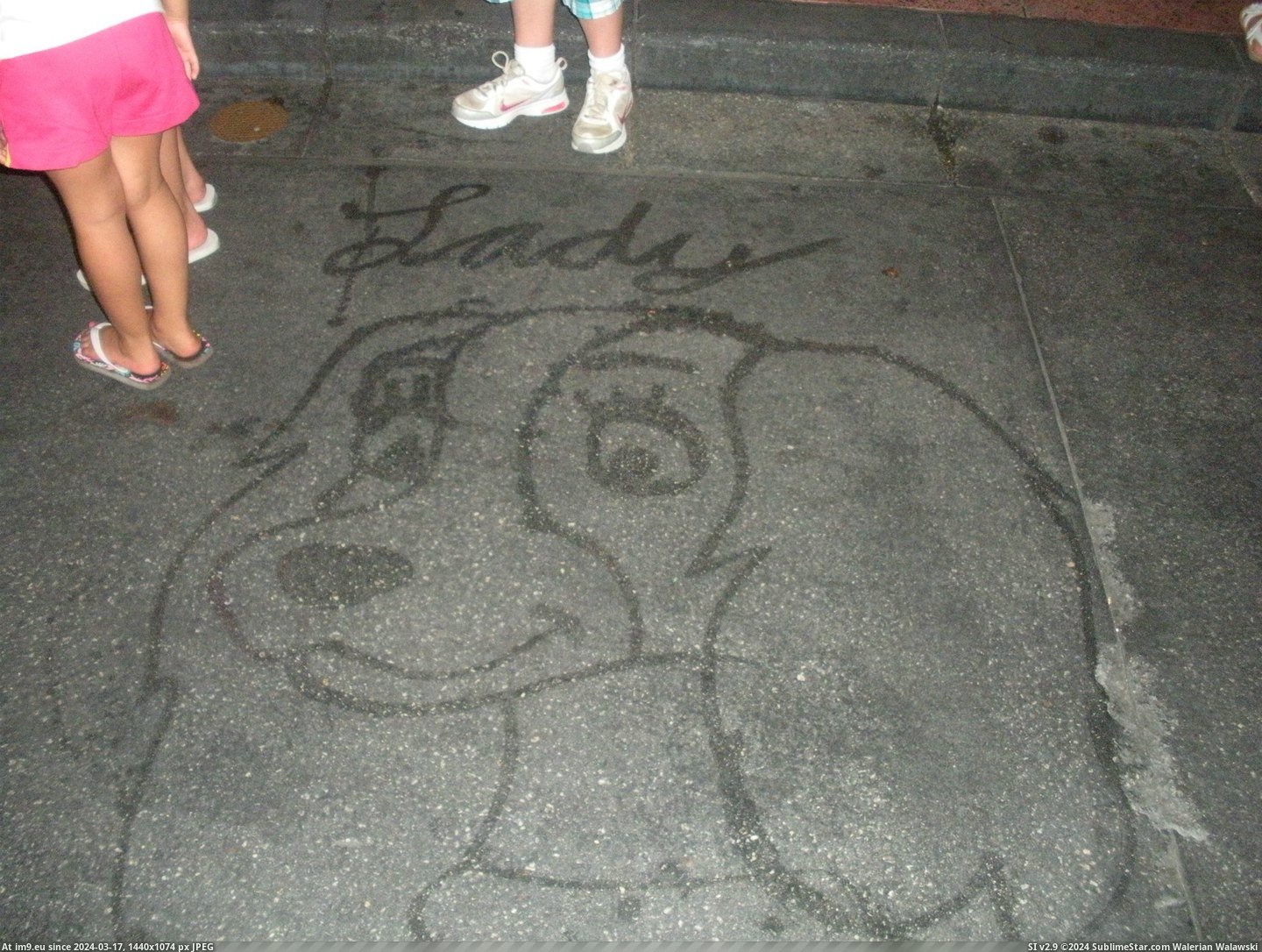 #World #Water #Disney #Guests #Janitor #Broom #Entertain #Characters #Drew #Sidewalk [Pics] As a janitor at Disney World, I drew characters with water and a broom on the sidewalk to entertain guests. 6 Pic. (Изображение из альбом My r/PICS favs))