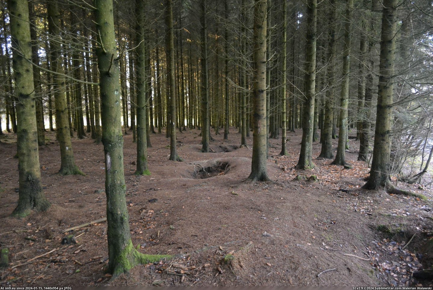 #Years #Ago #Bulge #Bastogne #Foxholes #Couple #Battle [Pics] Battle of the Bulge started today in 1944. Went to Bastogne a couple years ago and took pictures. The foxholes of the 101 Pic. (Image of album My r/PICS favs))