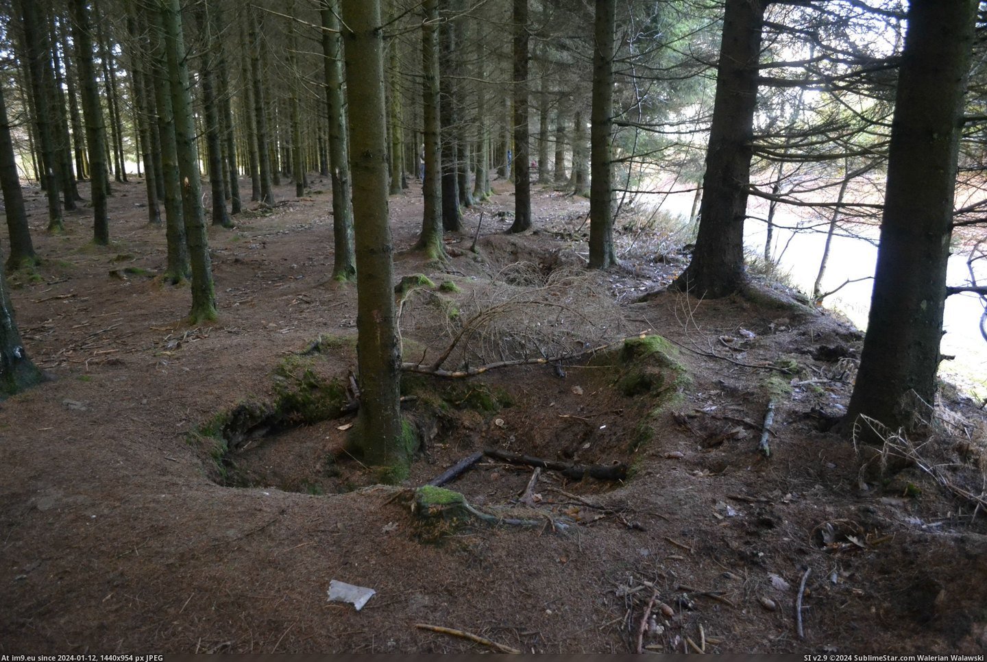 #Years #Ago #Bulge #Bastogne #Foxholes #Couple #Battle [Pics] Battle of the Bulge started today in 1944. Went to Bastogne a couple years ago and took pictures. The foxholes of the 101 Pic. (Bild von album My r/PICS favs))