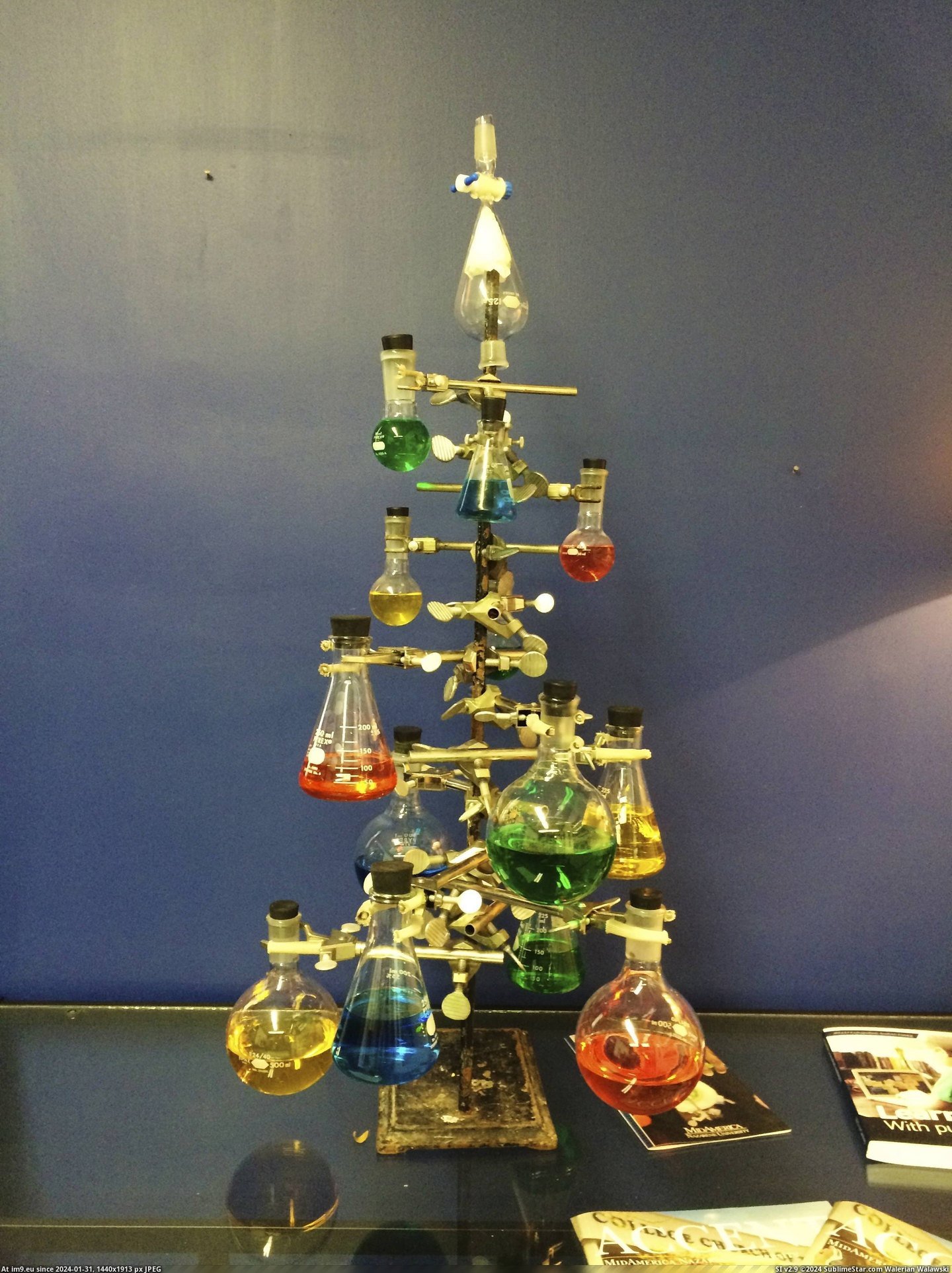 #For #Tree #Lab #Christmas [Pics] Christmas tree I made for my lab Pic. (Bild von album My r/PICS favs))