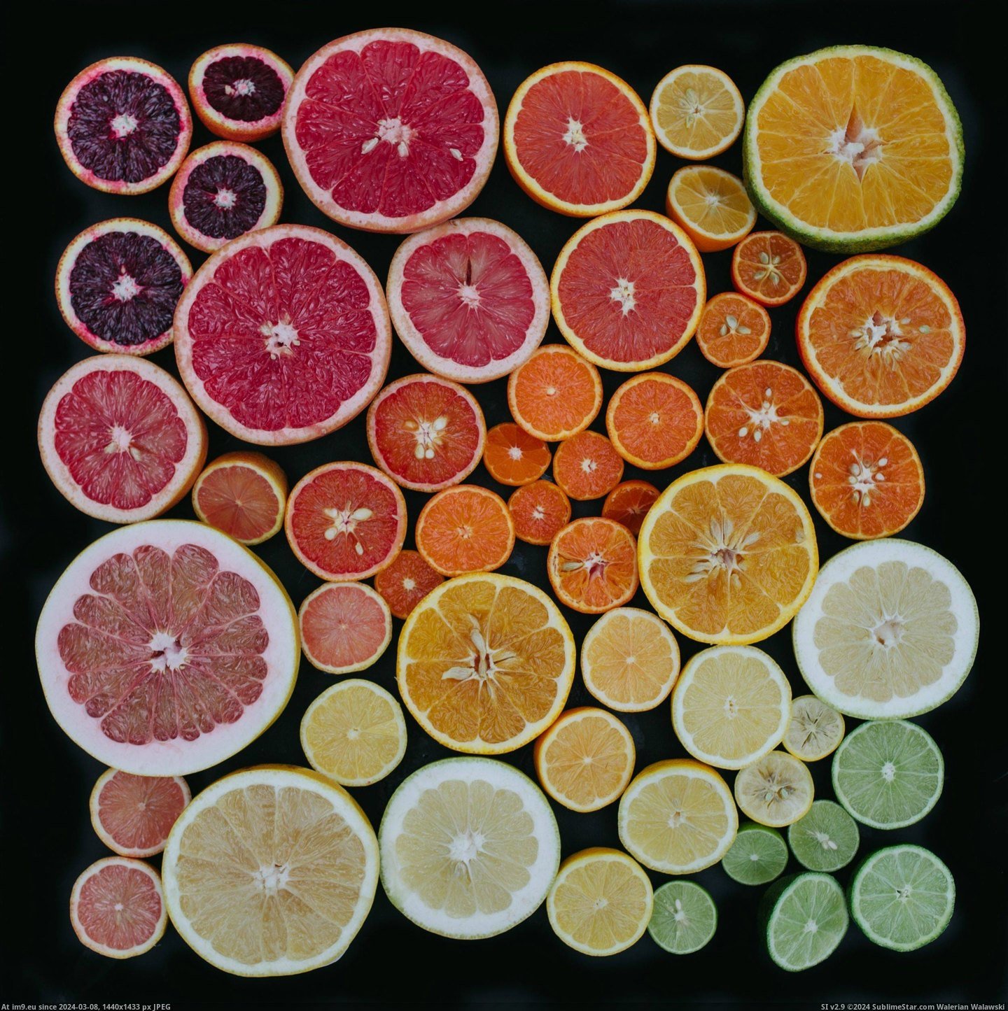  #Citrus  [Pics] Citrus Pic. (Image of album My r/PICS favs))