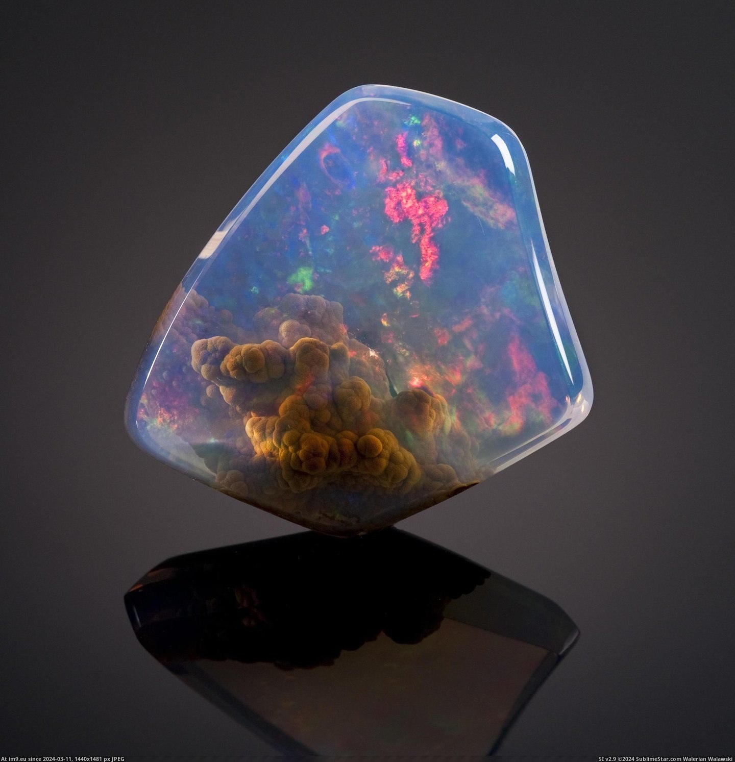 #Worth  #Opal [Pics] Contraluz opal worth $20000 Pic. (Bild von album My r/PICS favs))