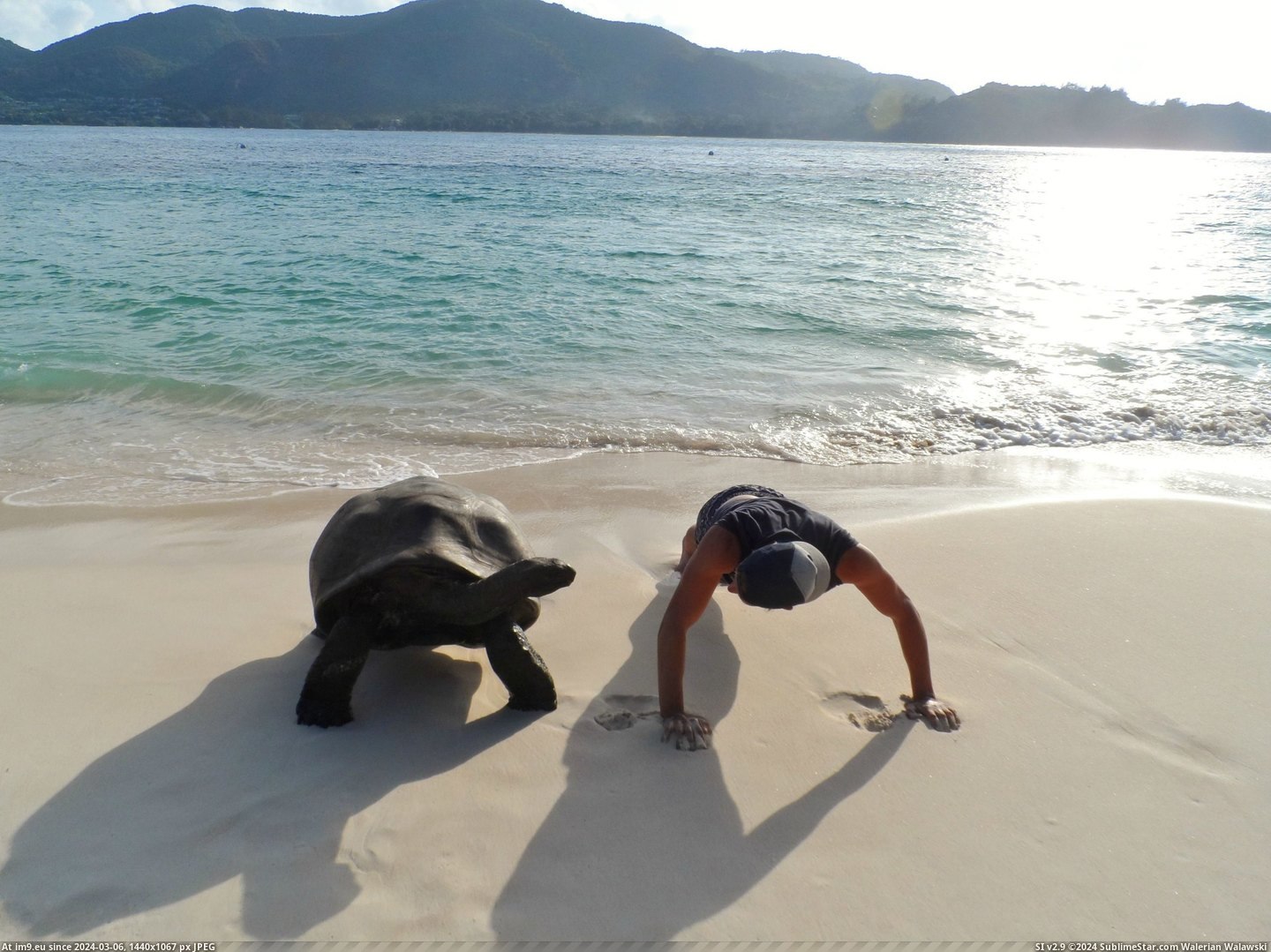#Small #Island #Workout #Buddy #Boyfriend [Pics] Currently volunteering on a small island in the Seychelles - my boyfriend found a new workout buddy! Pic. (Obraz z album My r/PICS favs))