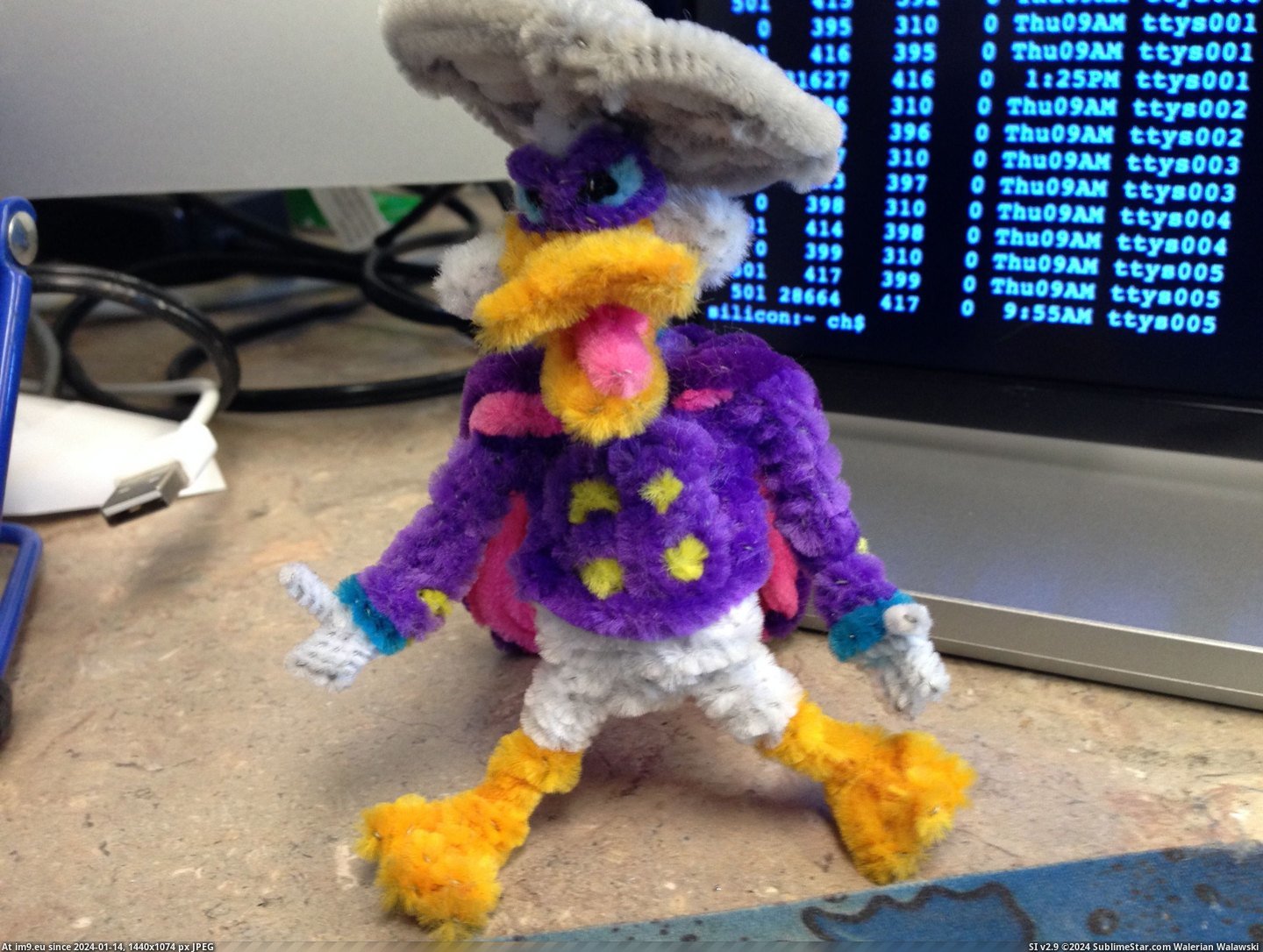 #State #Alaska #Duck #Cleaners #Darkwing #Created #Pipe #Fair [Pics] Darkwing Duck created entirely with pipe cleaners. Found at the Alaska State Fair. Pic. (Bild von album My r/PICS favs))