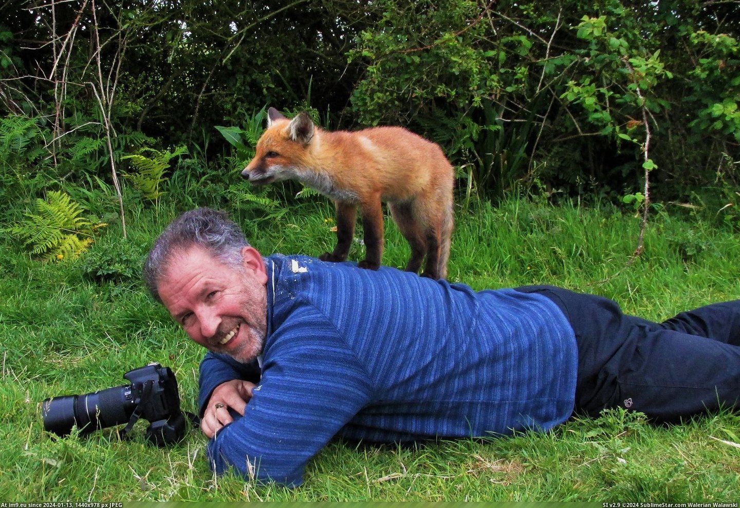 #Dad #Wild #Fox #Appeared #Cub #Suddenly #Photography #Wildlife [Pics] Doing some wildlife photography with my dad when suddenly, a wild fox cub appeared! Pic. (Image of album My r/PICS favs))