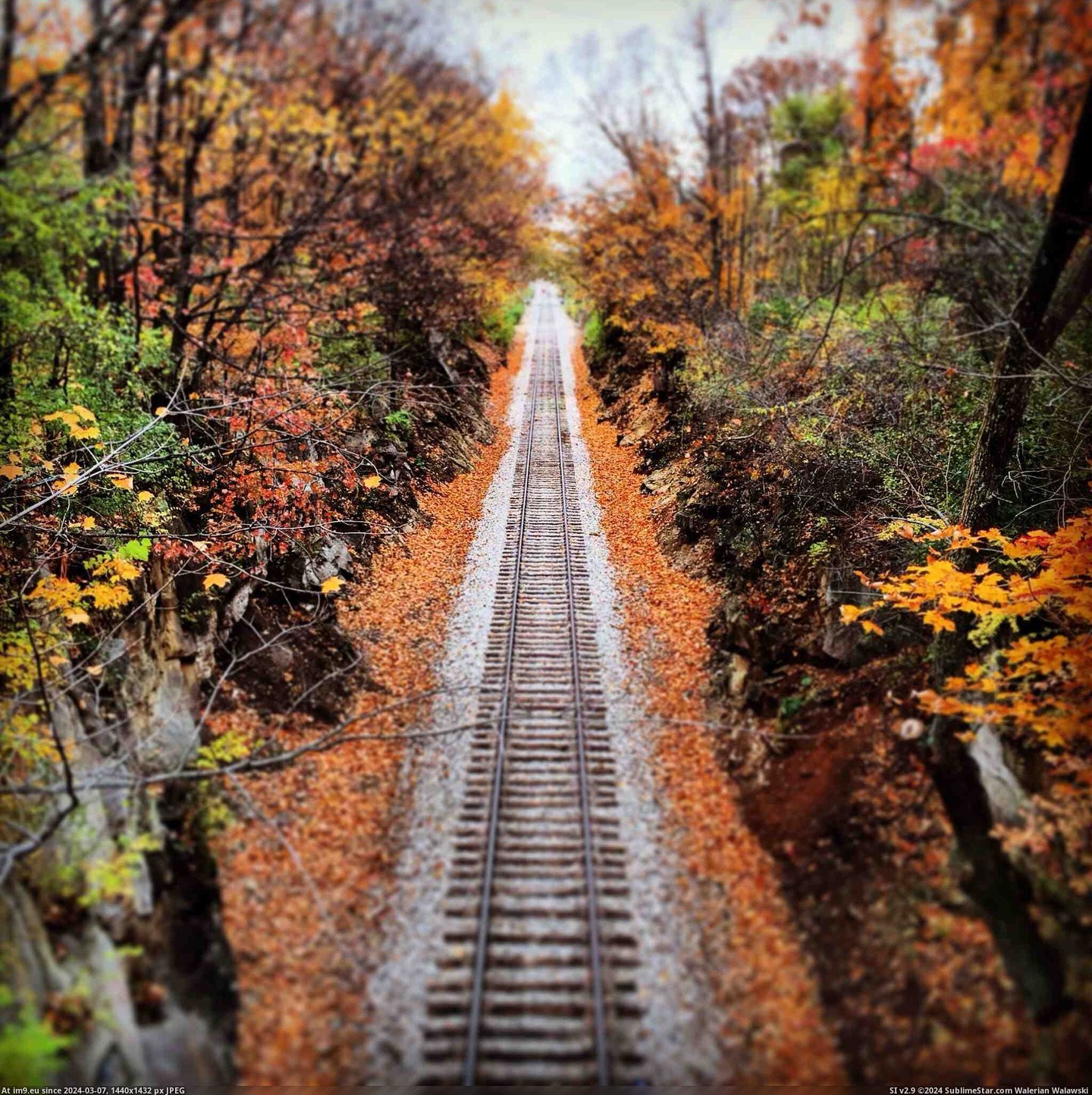 #Fall #Tracks #Train [Pics] Fall Train Tracks Pic. (Obraz z album My r/PICS favs))