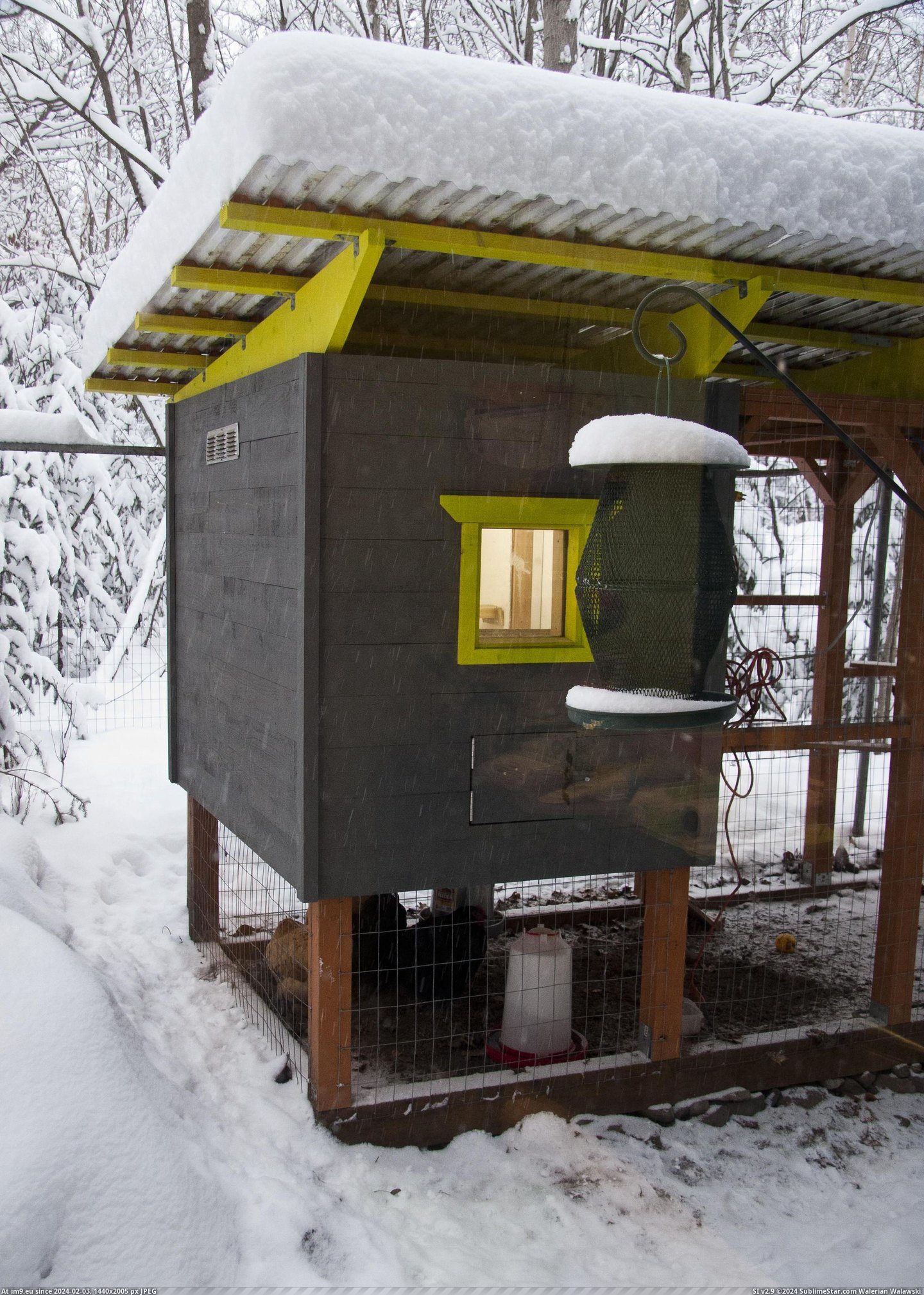 #Share #Thought #Chicken #Coop #Built #Alaska [Pics] I built a chicken coop at my home in Alaska and I thought I'd share 42 Pic. (Image of album My r/PICS favs))