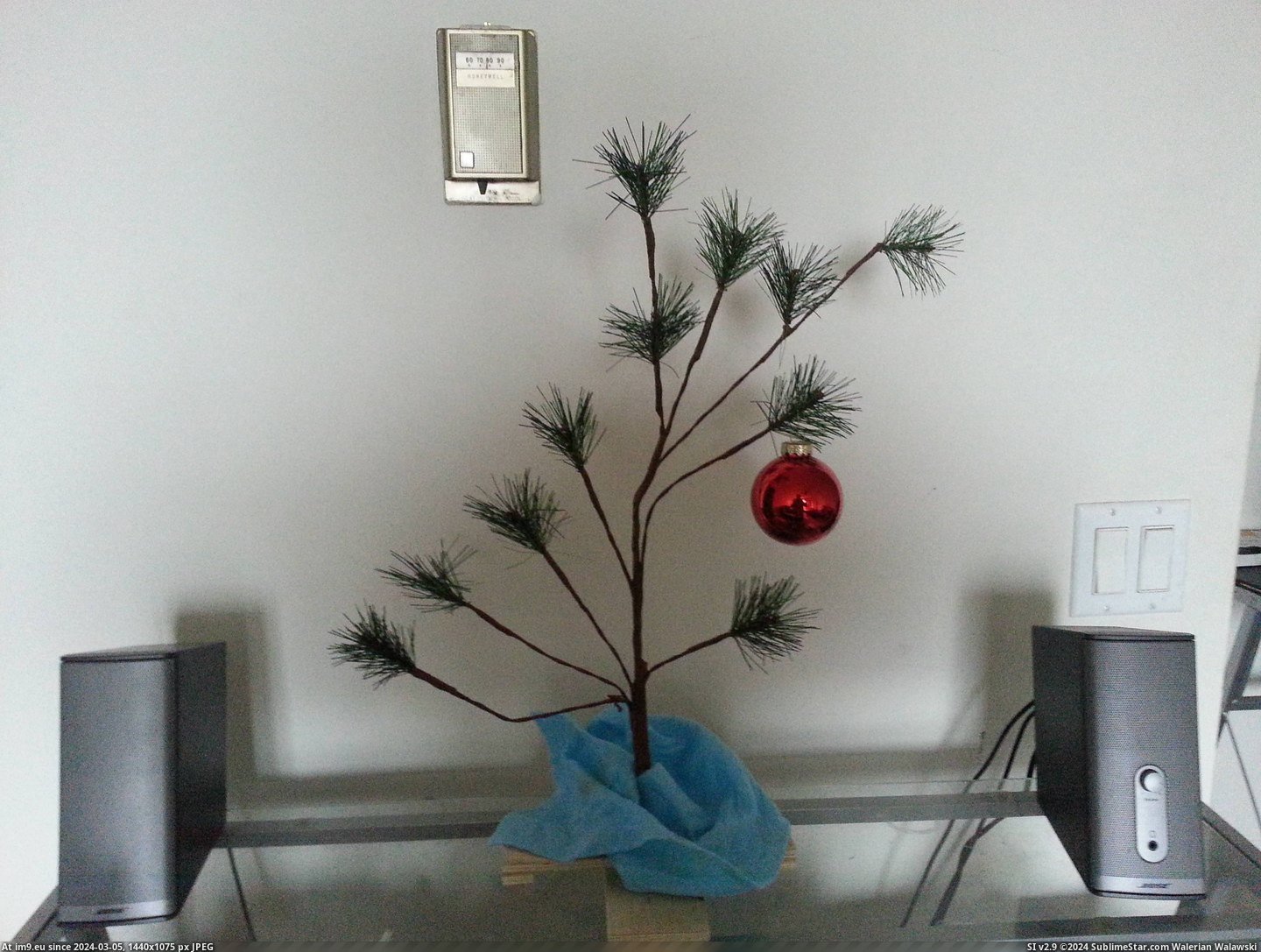 #Christmas #Put #Tree [Pics] I just put up my Christmas tree. Pic. (Obraz z album My r/PICS favs))