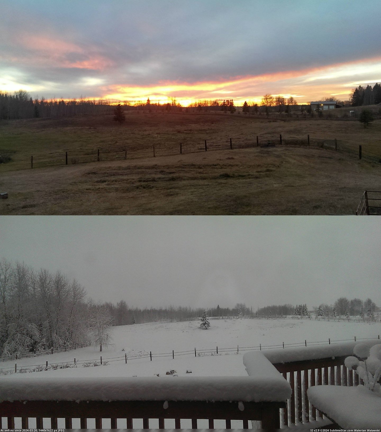 #How #Canada #Yard #Alberta #Changed #Live #Hours [Pics] I live in Alberta Canada, this is how my yard changed within 24 hours. Pic. (Image of album My r/PICS favs))