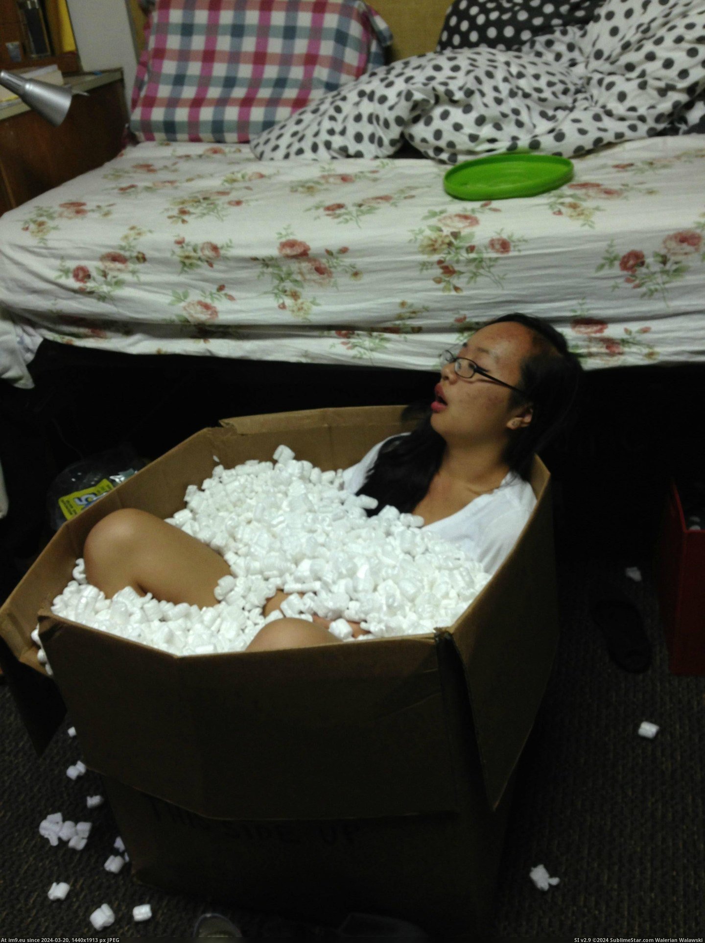 #Box #Find #Roommate #2am #Peanuts #Wake #Passed #Packing [Pics] I wake up at 2am to find my roommate passed out in a box of packing peanuts. Pic. (Obraz z album My r/PICS favs))