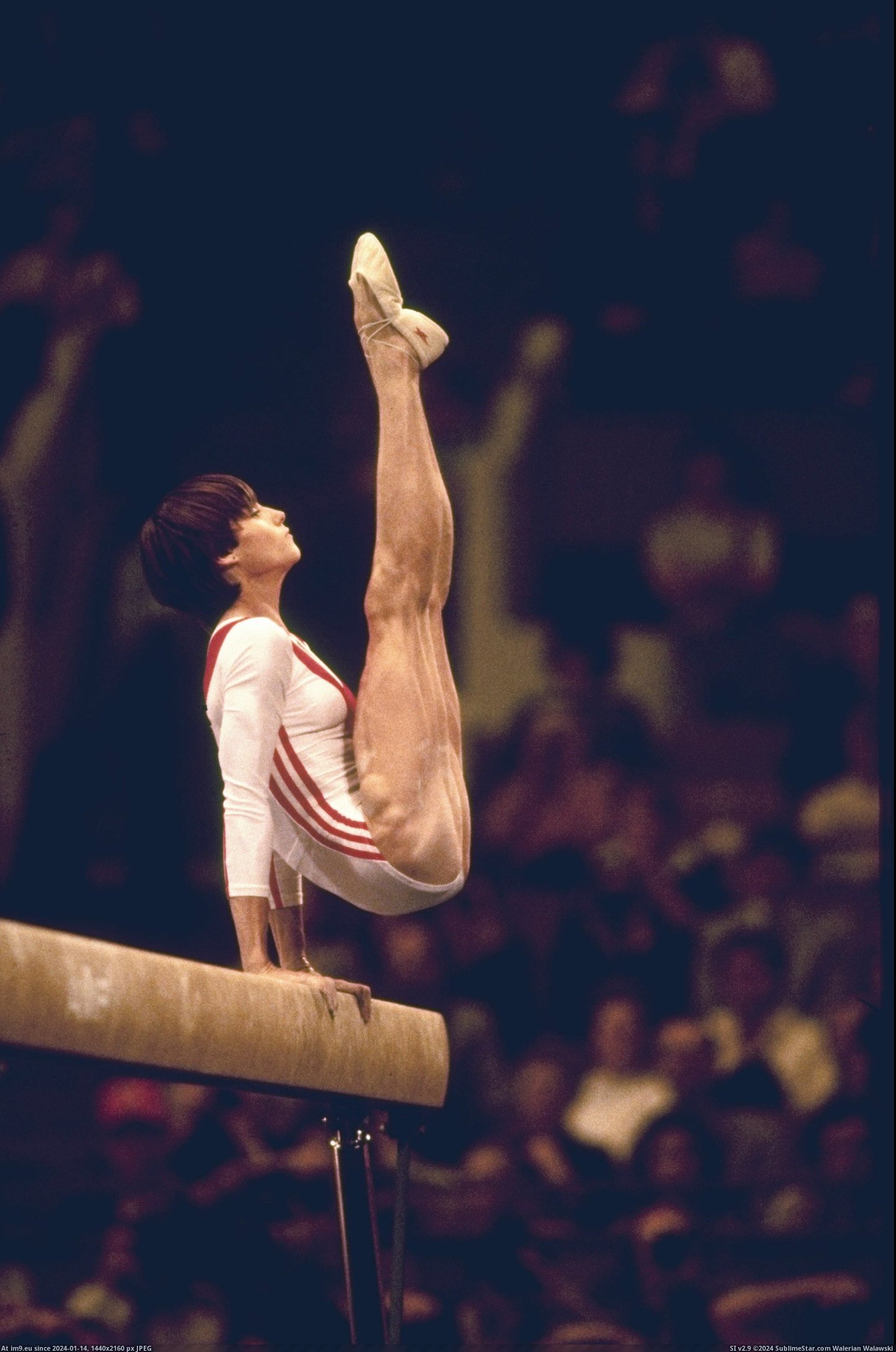 #Perfect #Leg #History #Nadia #Comaneci #Age #Muscles #Olympic [Pics] Leg muscles of the first perfect 10 in Olympic history, at age 14. Nadia Comaneci. Pic. (Изображение из альбом My r/PICS favs))