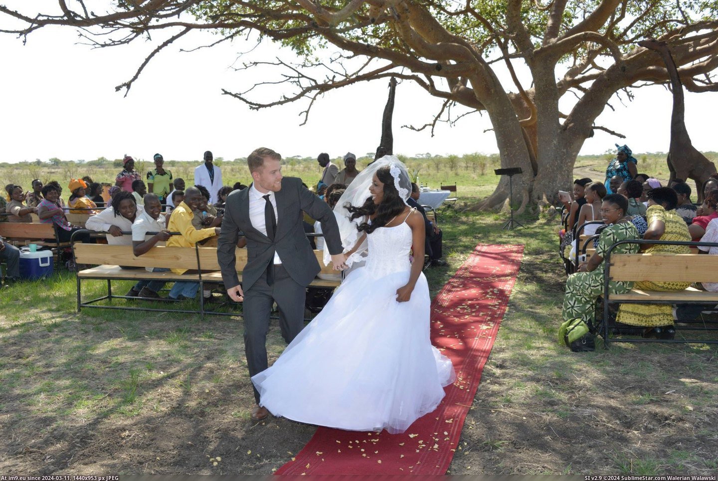 #Wife #She #Wedding #African #Zimbabwean #Had #Our [Pics] My wife and I just had our African Wedding (She's Zimbabwean) 11 Pic. (Image of album My r/PICS favs))