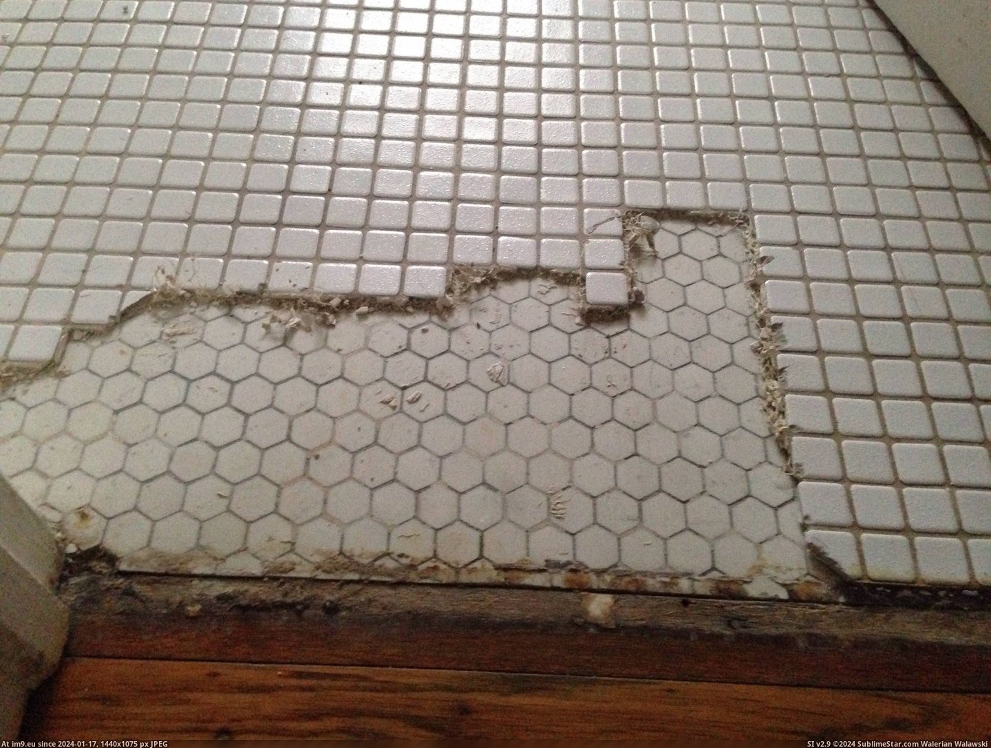 #Time #Wife #Wanted #Tile #Hexagon #Bathroom #Hour #1920s [Pics] My wife and I wanted to redo our 1920s bathroom with more time-appropriate hexagon tile. An hour in, I see this. Pic. (Obraz z album My r/PICS favs))
