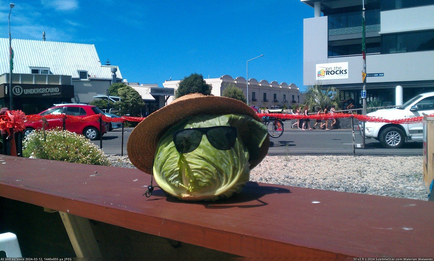 #Beach #Fun #Friends #Mad #Cabbage #Had #Wanted #Bought [Pics] None of my friends wanted to go to the beach with me so I bought a cabbage and had even more fun without them. I also mad Pic. (Bild von album My r/PICS favs))