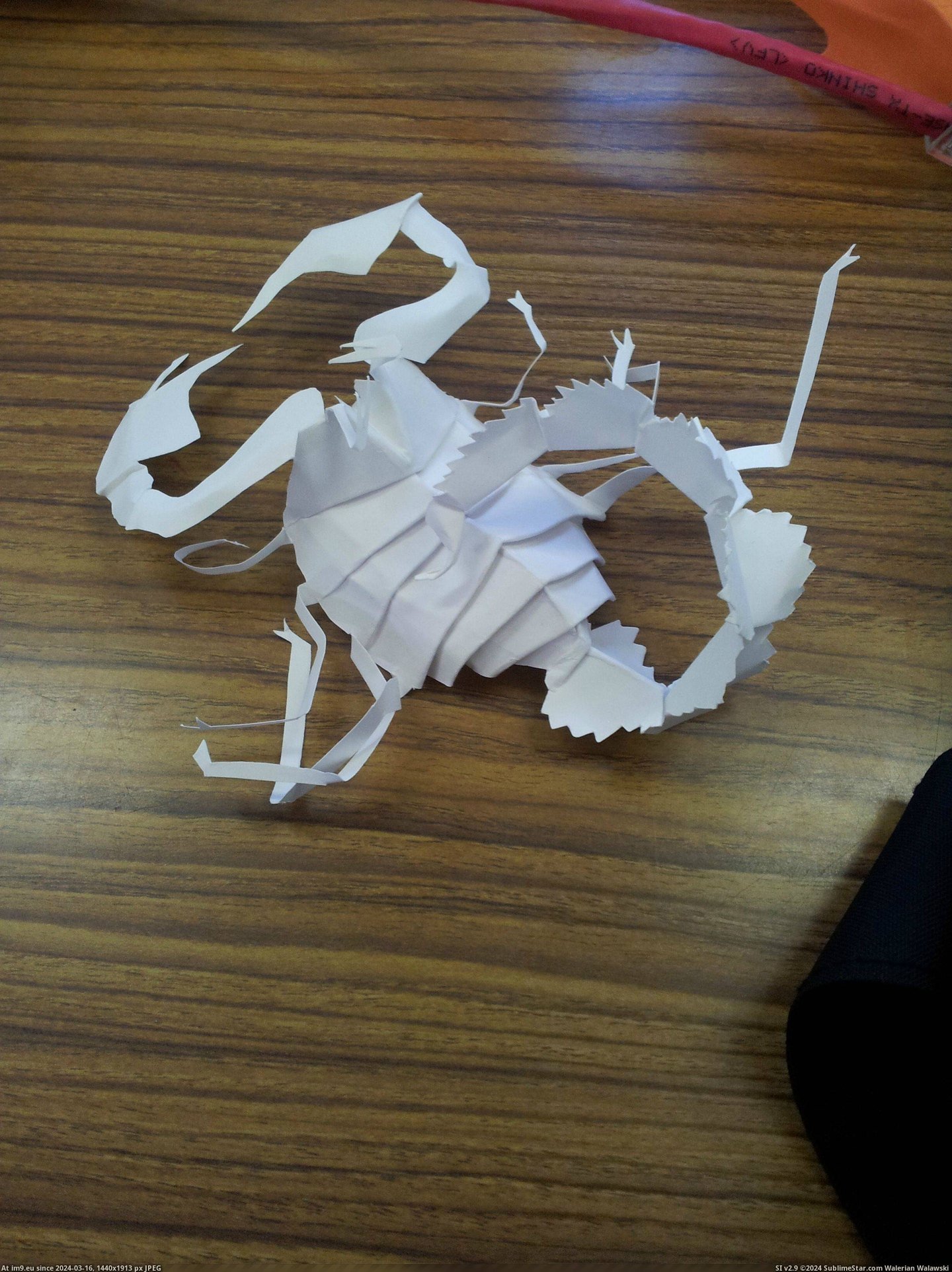 #One #Paper #Students #Creatures #Freehand #Bored #Completely [Pics] One of my students makes these creatures out of paper completely freehand whenever he is bored 3 Pic. (Bild von album My r/PICS favs))