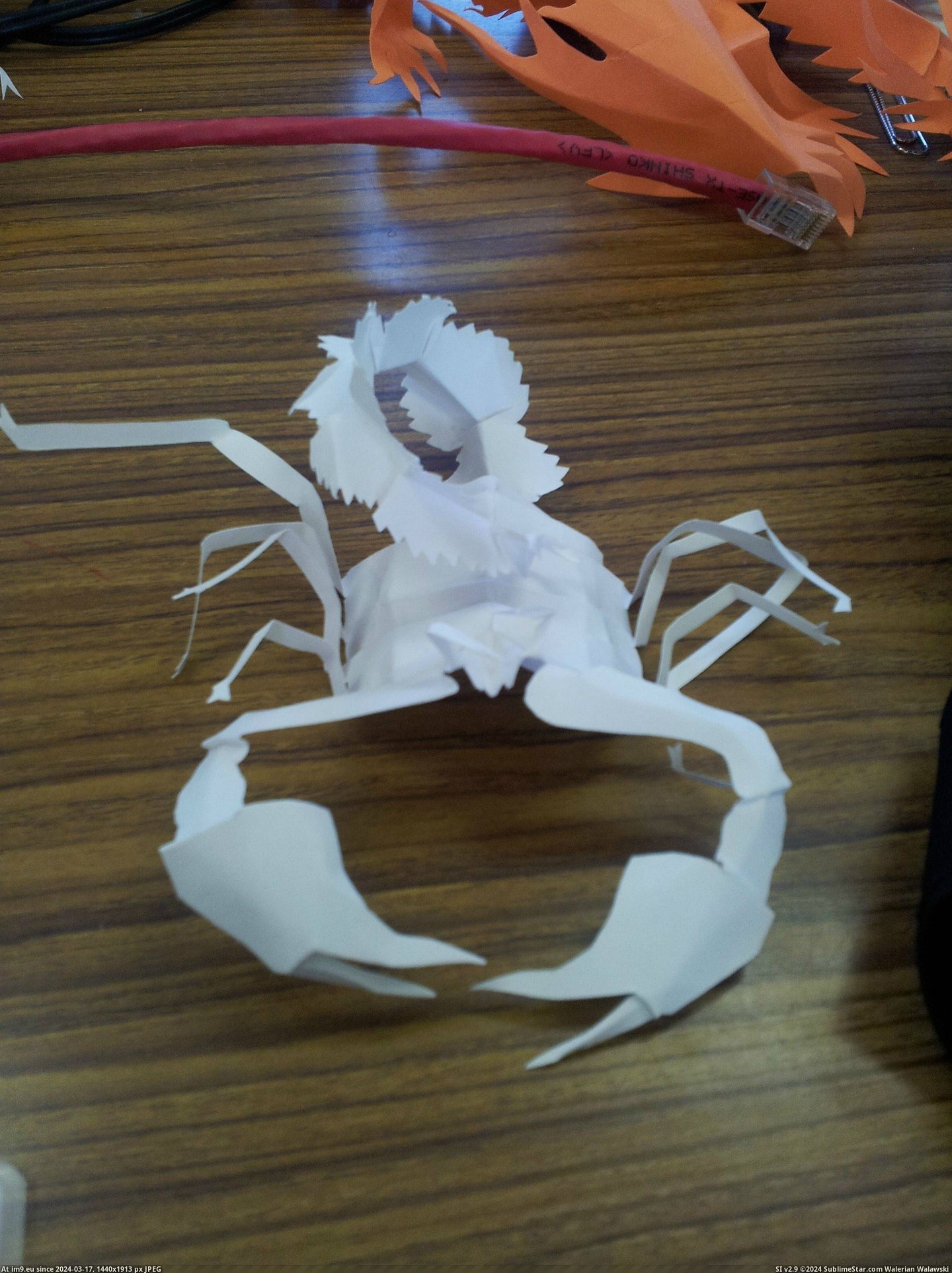 #One #Paper #Students #Creatures #Freehand #Bored #Completely [Pics] One of my students makes these creatures out of paper completely freehand whenever he is bored 7 Pic. (Image of album My r/PICS favs))