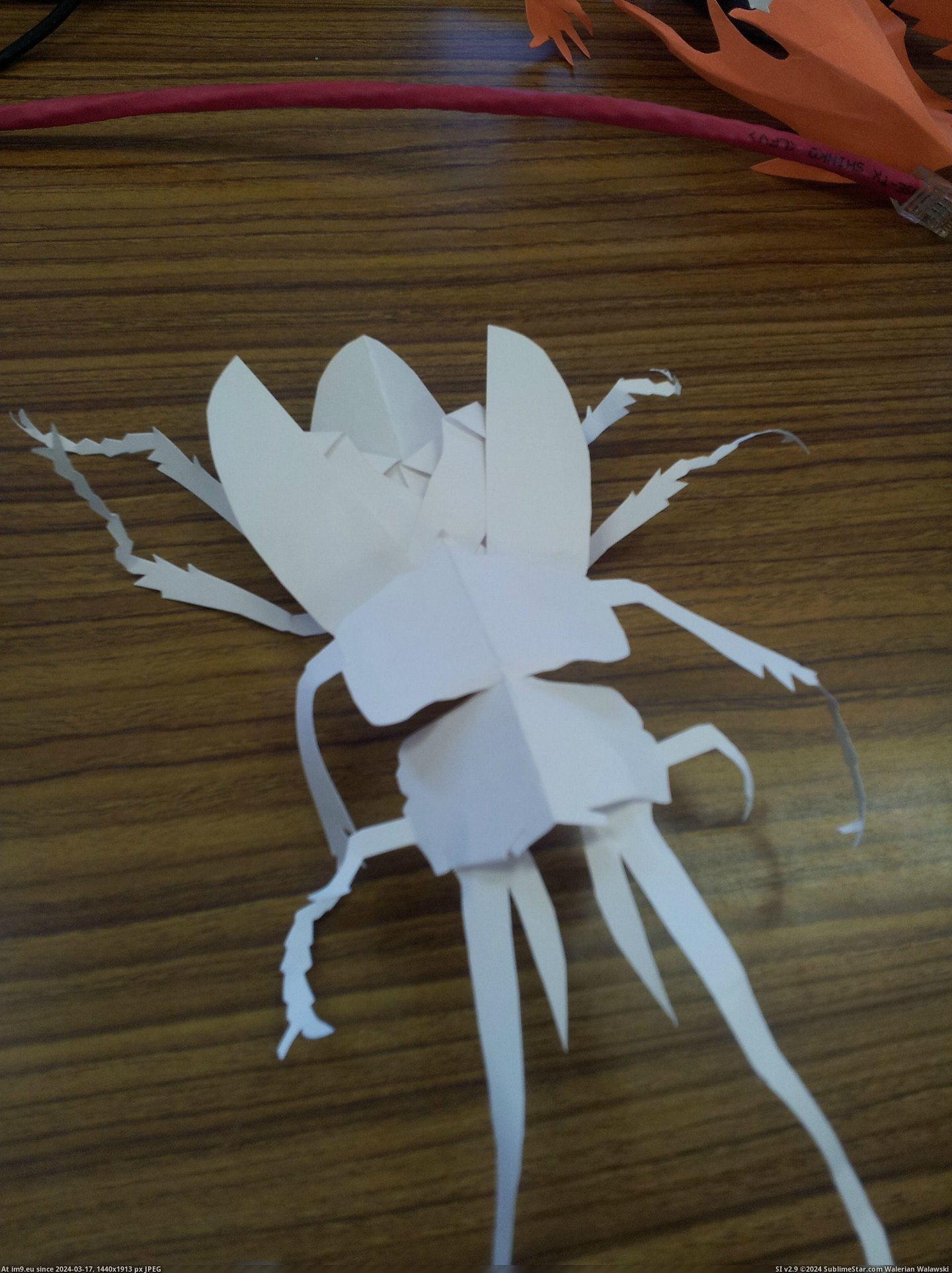 #One #Paper #Students #Creatures #Freehand #Bored #Completely [Pics] One of my students makes these creatures out of paper completely freehand whenever he is bored 9 Pic. (Bild von album My r/PICS favs))