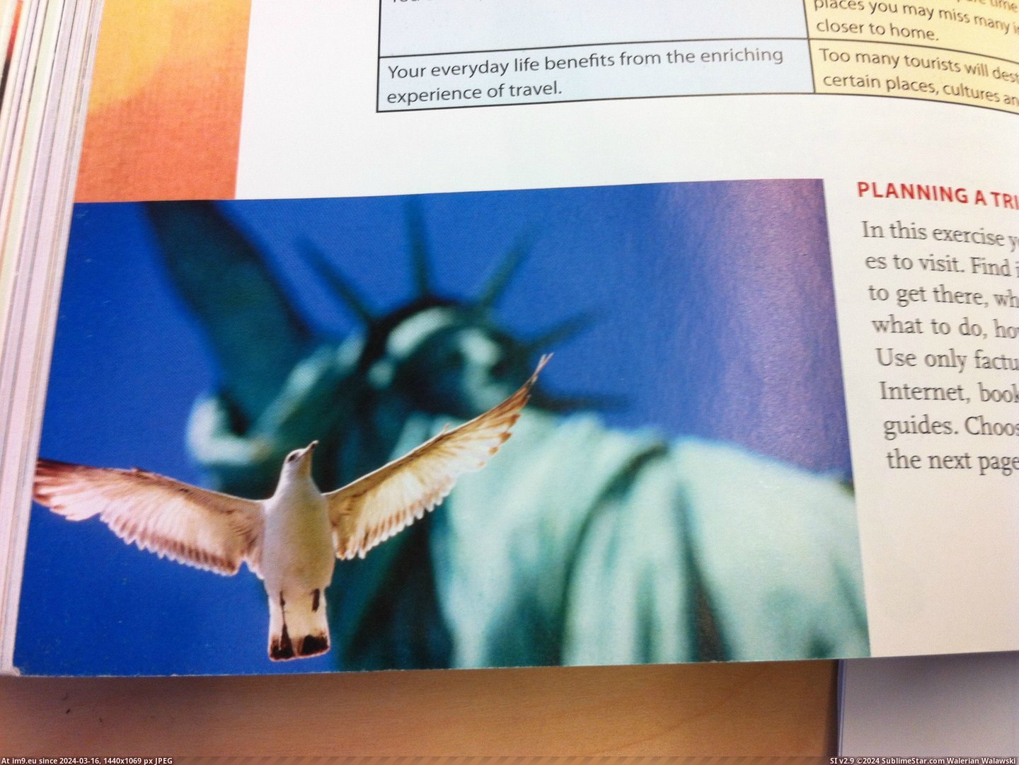 #Day #Dad #Happened #Textbook #Copyrighted #English #Photograph #Pissed [Pics] So I happened to come across my dad's copyrighted photograph in my English textbook the other day. He's pissed for sure.  Pic. (Bild von album My r/PICS favs))