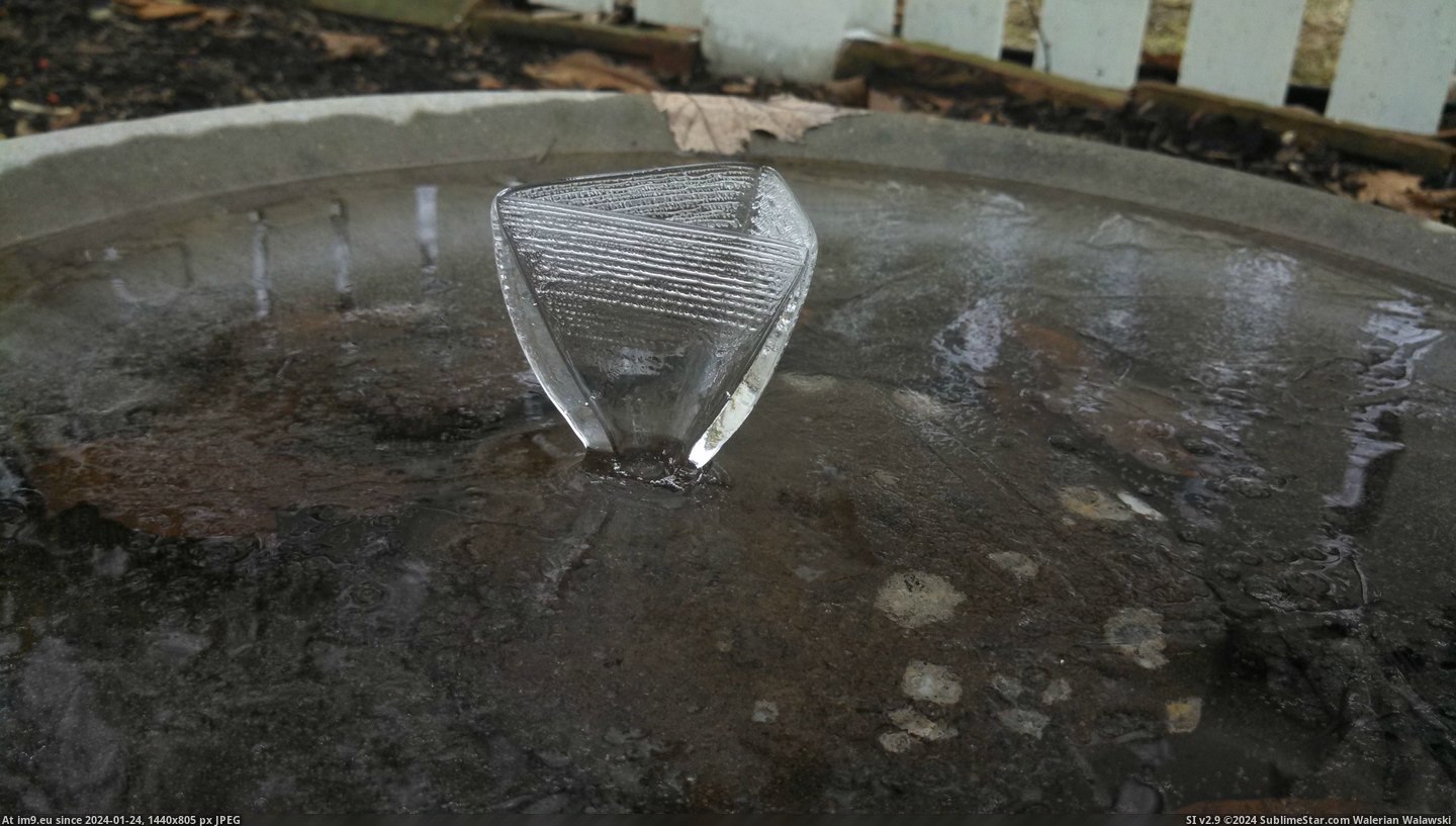#Was #Morning #How #Ice #Walked #Ideas #Formed #Formation #Bath #Cool #Any #Bird [Pics] So I walked outside this morning and found this really cool ice formation in my bird bath. Any ideas on how it was formed Pic. (Obraz z album My r/PICS favs))