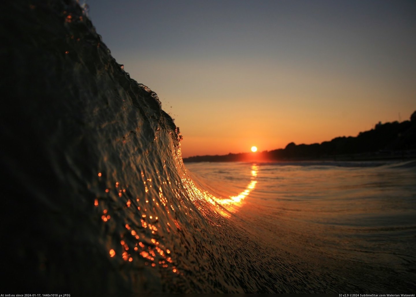 [Pics] Sunset curling up with a wave (in My r/PICS favs)