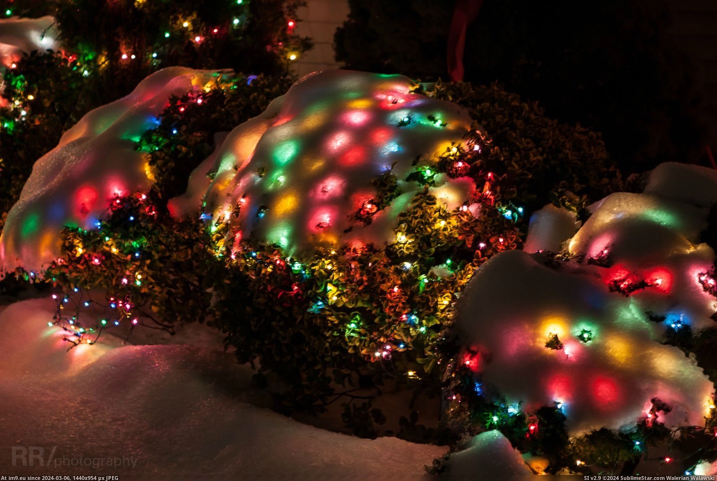 #Christmas #Covered #Lights #Snow [Pics] There's just something about snow covered Christmas lights. Pic. (Bild von album My r/PICS favs))