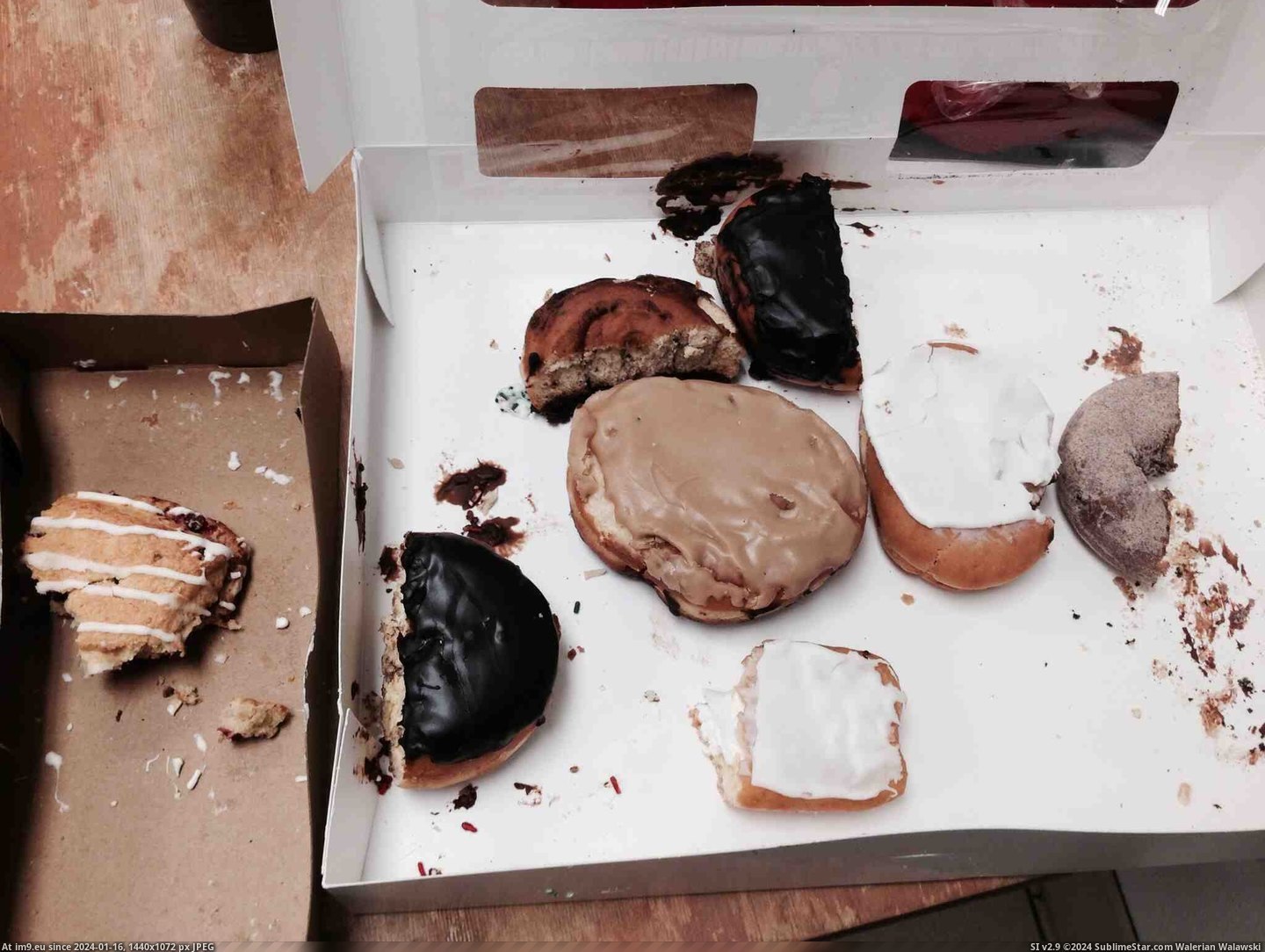 #You #Work #Females #Donuts #Brings [Pics] This is what happens when someone brings in donuts and you work with many females. Pic. (Obraz z album My r/PICS favs))