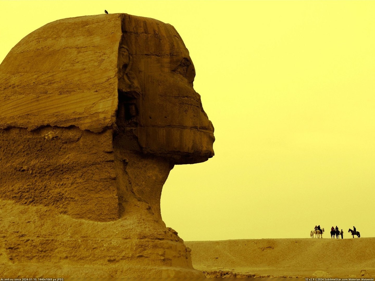 Profile of the Great Sphinx, Giza, Egypt (in Beautiful photos and wallpapers)