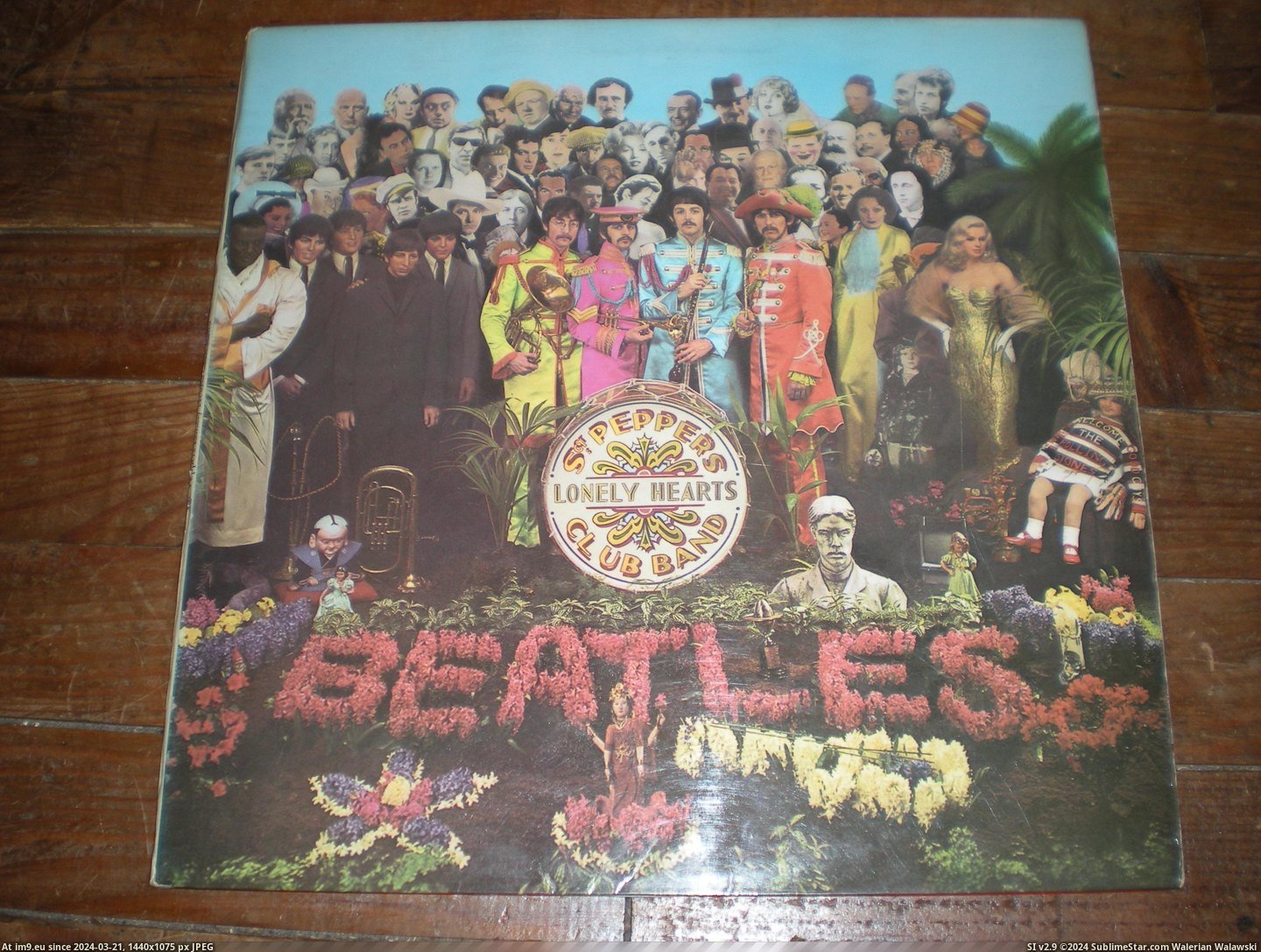  #Sgt  Sgt P 6 Pic. (Obraz z album new 1))