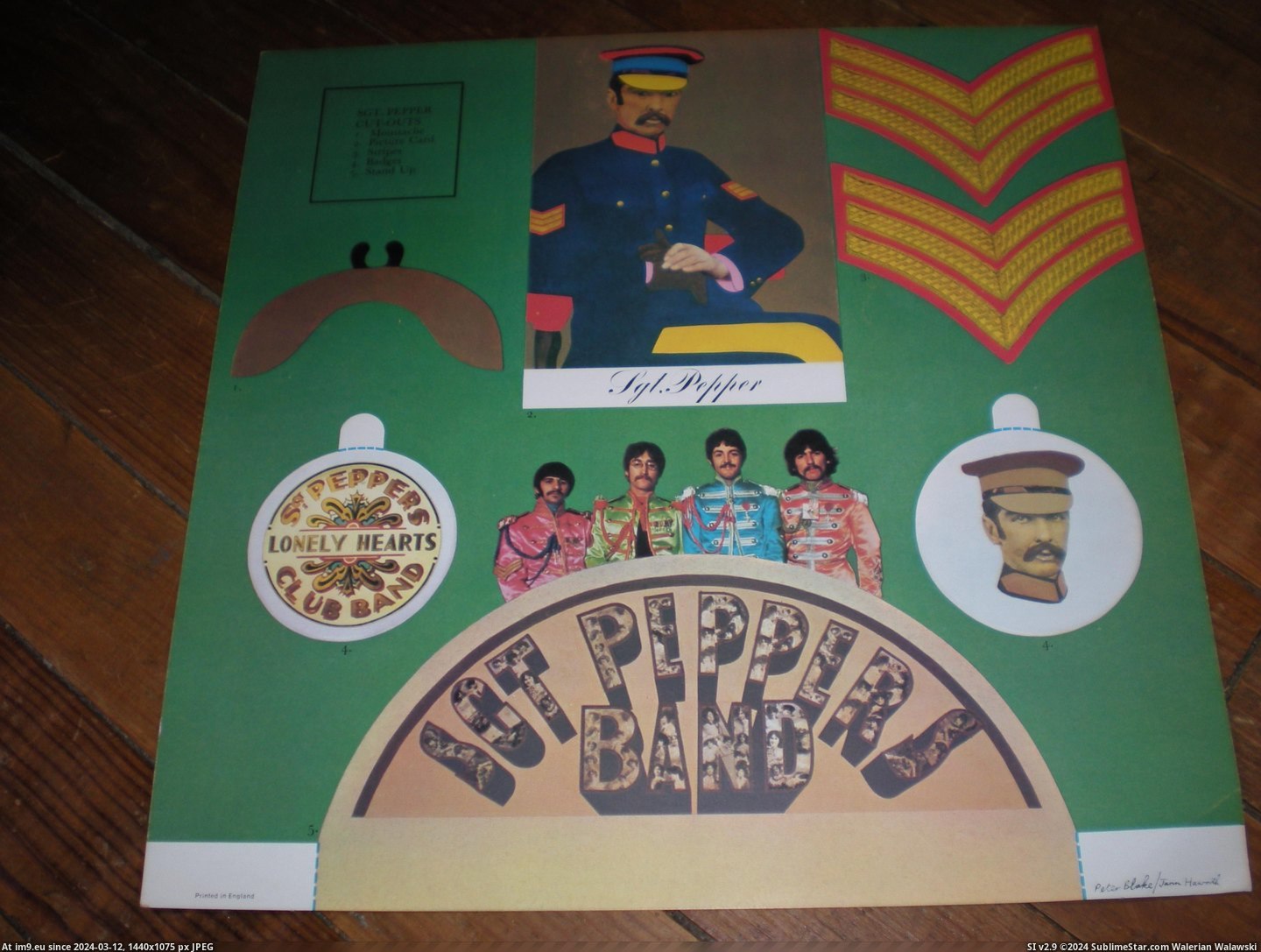 #Wide  #Sgt Sgt WIDE 9.1 Pic. (Obraz z album new 1))