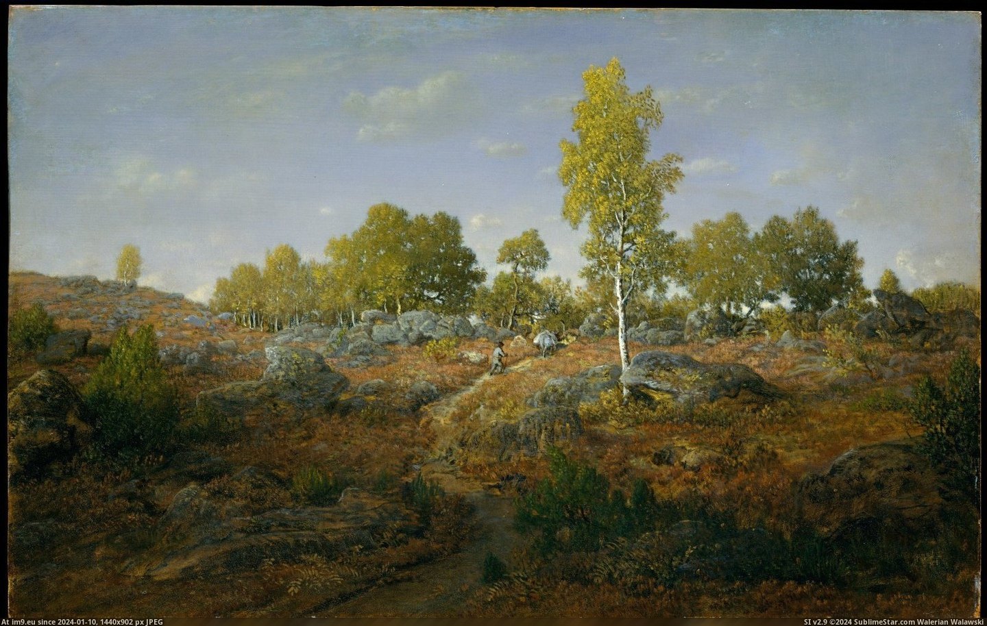 Théodore Rousseau - A Path among the Rocks (prob. 1861) (in Metropolitan Museum Of Art - European Paintings)