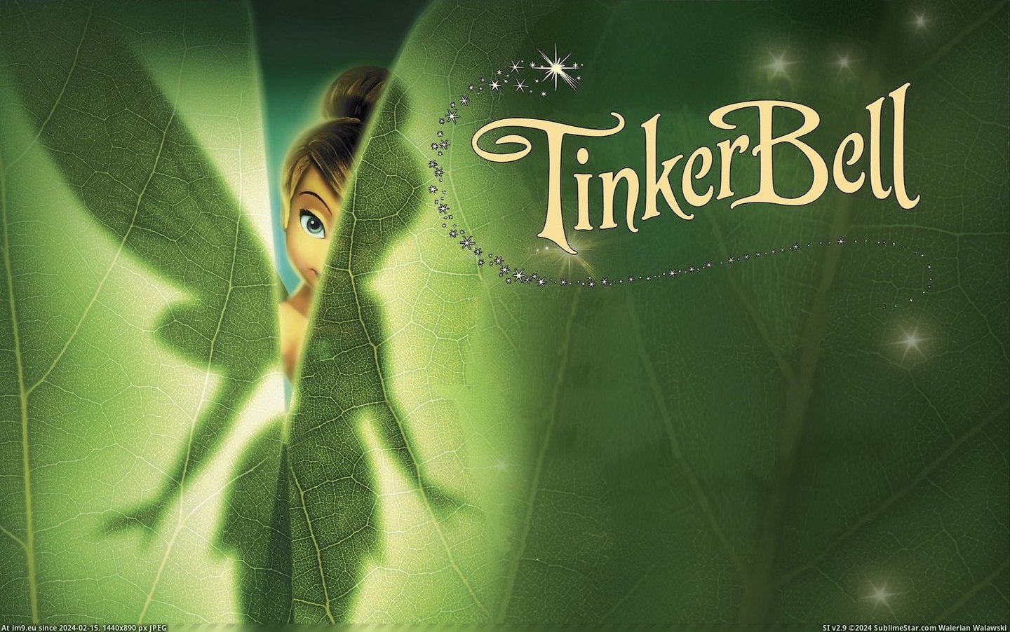 Tinkerbell 168 X1 5 B (cartoons for kids) (in Cartoon Wallpapers And Pics)
