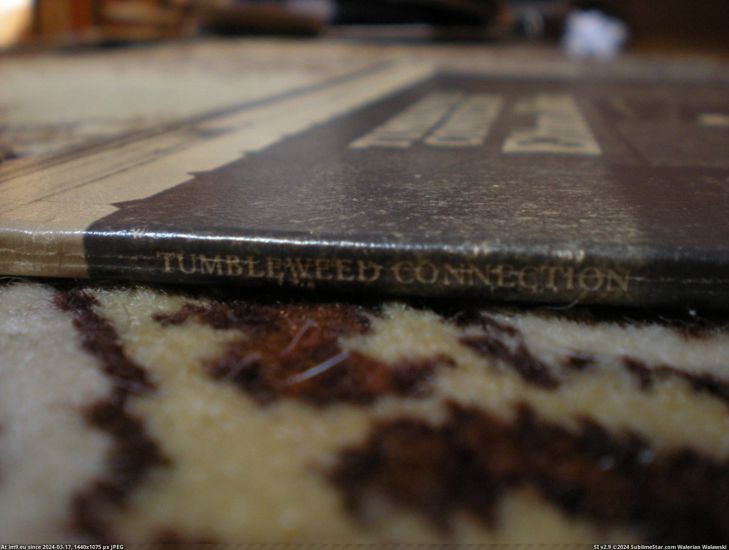  #Tumbleweed  Tumbleweed 9 Pic. (Obraz z album new 1))