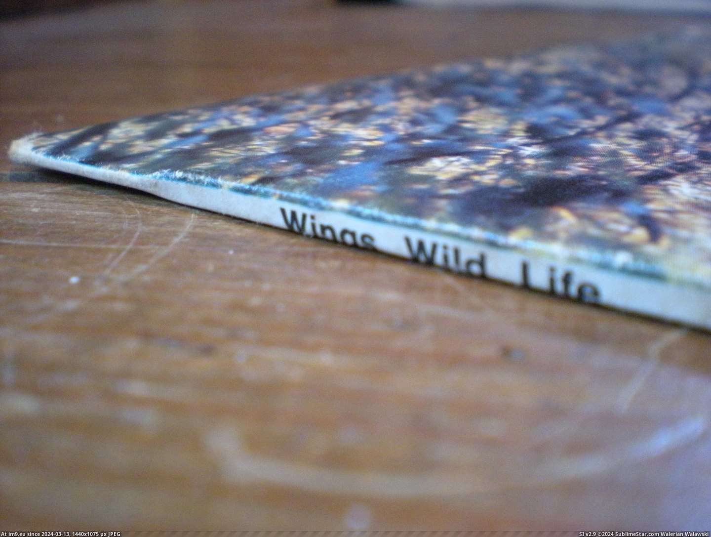 #Life  #Wild Wild Life 8 Pic. (Image of album new 1))