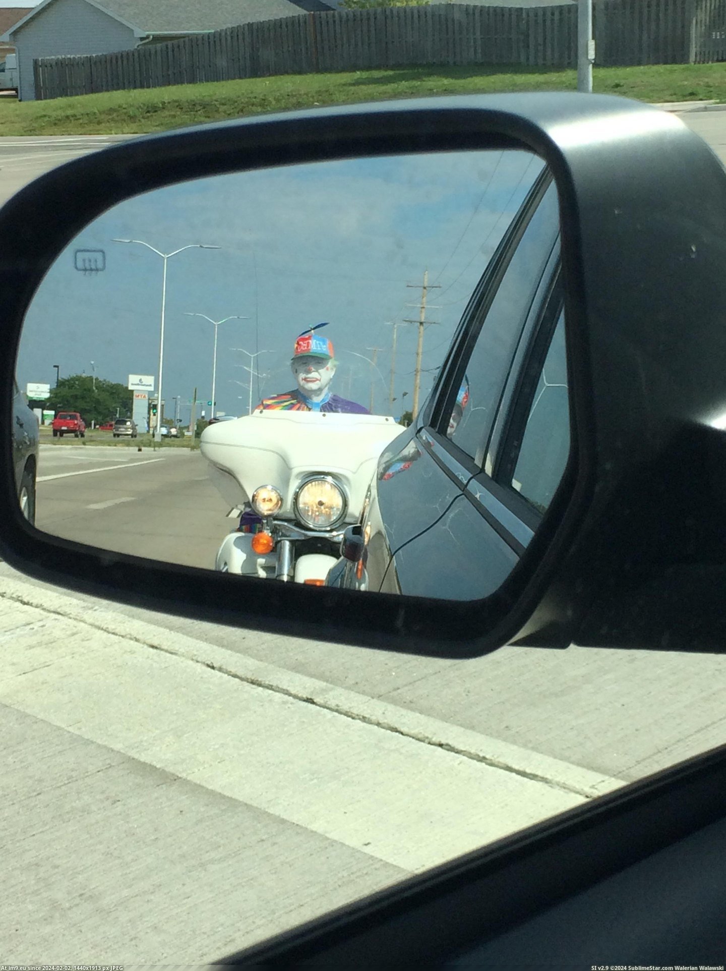 #Wtf #Expect #Rear [Wtf] Didn't expect this in the rear view Pic. (Obraz z album My r/WTF favs))