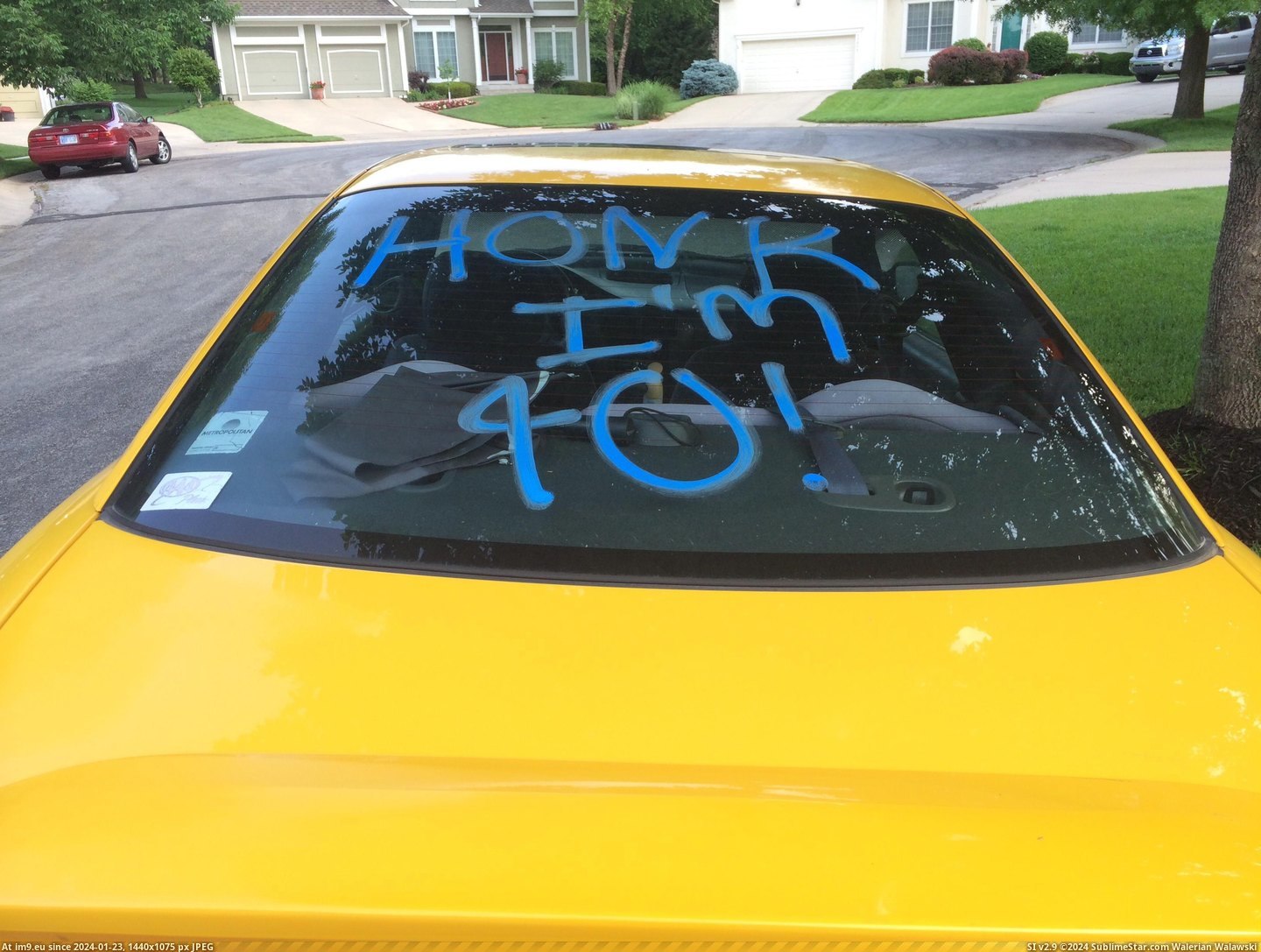 #Wtf #Years #Car #Birthday #Decorated #Old #Guy [Wtf] Found my car decorated. I'm 17 years old, I'm a guy, and it's nowhere near my birthday. 2 Pic. (Image of album My r/WTF favs))