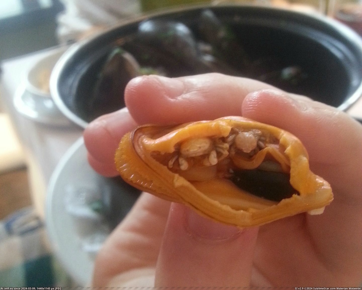 #Wtf #Two #Crabs #Mussel #Tiny #Eat [Wtf] Found two tiny crabs in the mussel I was about to eat Pic. (Image of album My r/WTF favs))
