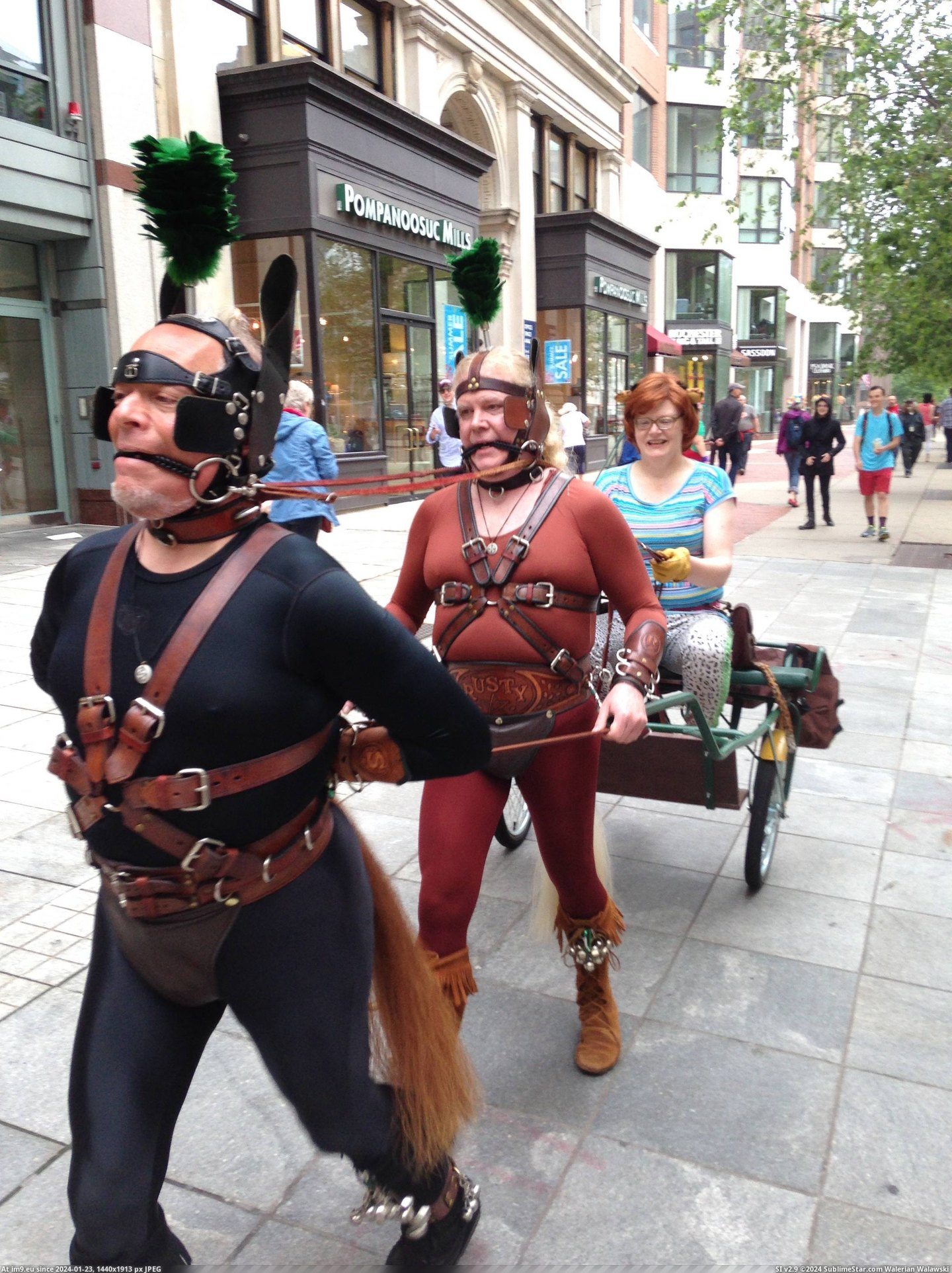 #Wtf #Guys #Walking #Boston #Day #Saw [Wtf] I was walking through Boston the other day when I saw these guys... 3 Pic. (Изображение из альбом My r/WTF favs))