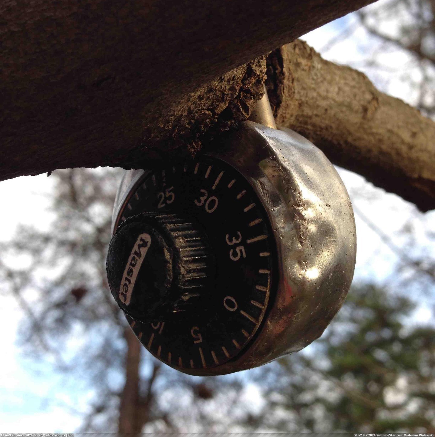 #Wtf #One #For #Code #Arm #Lock #Years #Did #Tree [Wtf] In response to the lock in the arm, this lock has been on the tree for 20 years. No one knows the code or who did it. Pic. (Image of album My r/WTF favs))