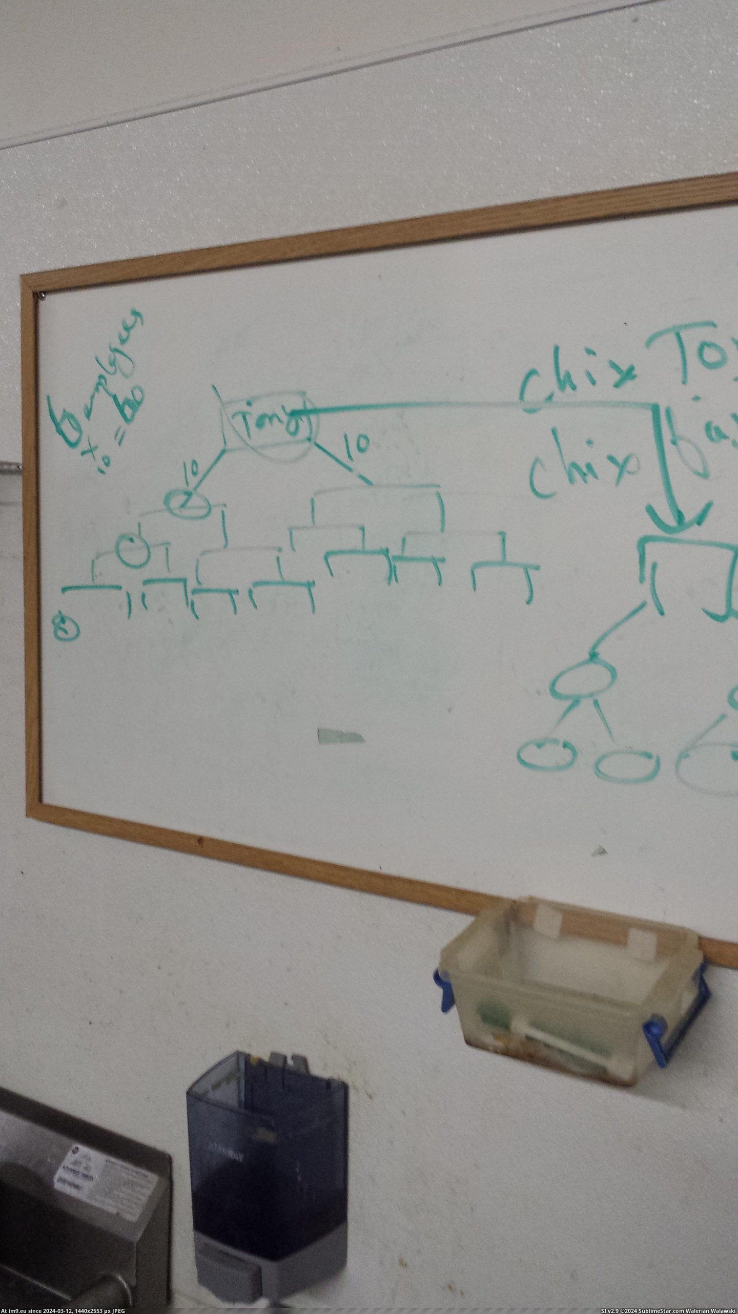 #Wtf #Picture #Show #Boss #Drew #Pyramid #Insisted #National #Team #Isn [Wtf] My boss insisted this 'Team National' he wants us to sign up for isn't a pyramid scheme, he then drew a picture to show us Pic. (Image of album My r/WTF favs))