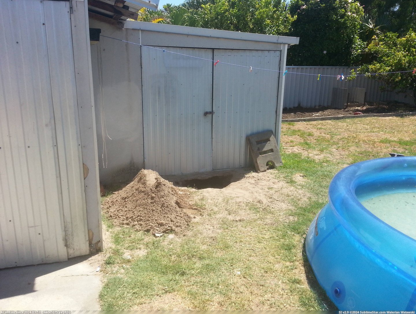 #Wtf #Dog #Months #Digging #Eventually #Hole #Friends [Wtf] My friends dog has been digging the same hole for 3 months. Eventually we found this. 1 Pic. (Image of album My r/WTF favs))