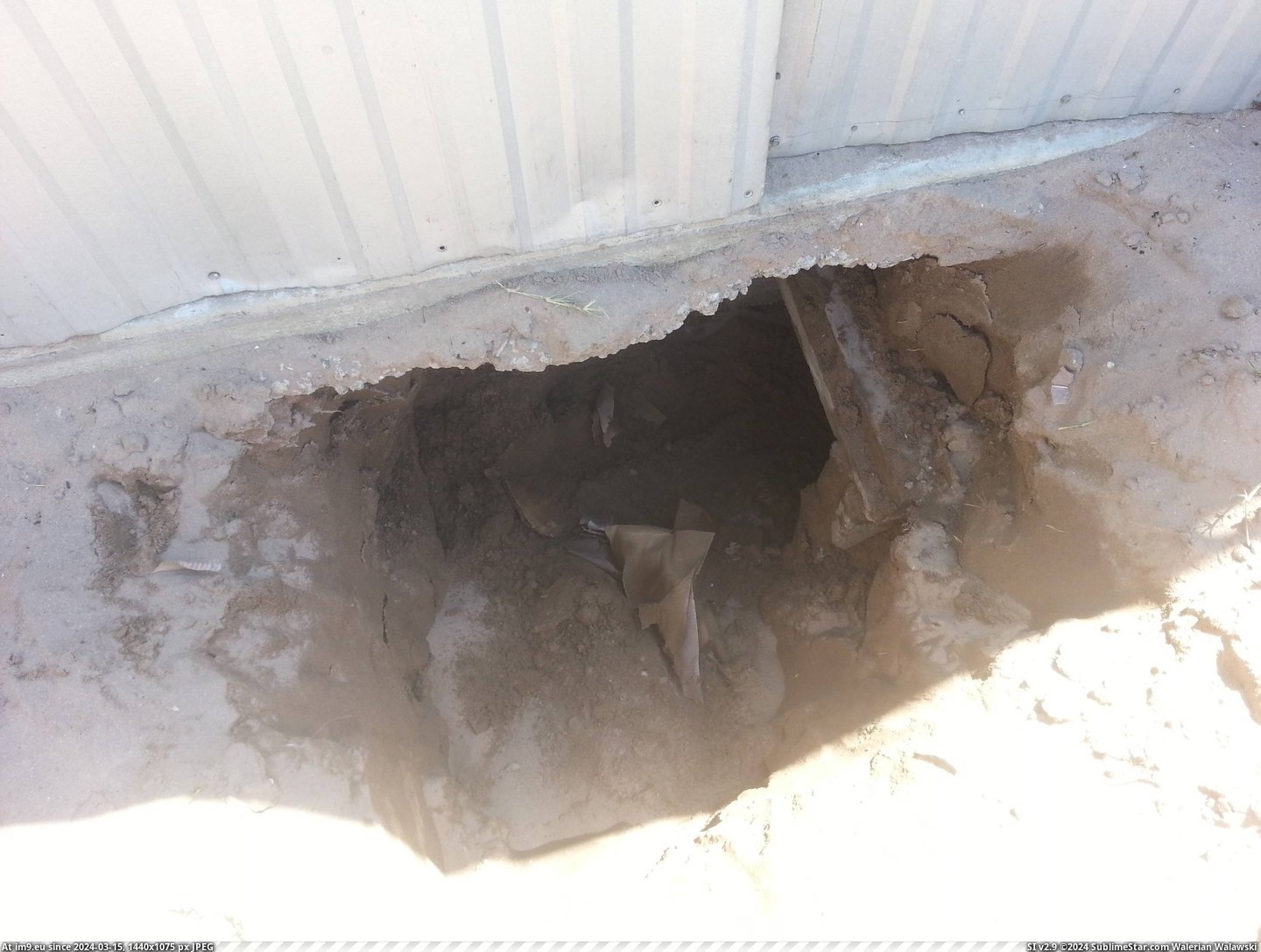 #Wtf #Dog #Months #Digging #Eventually #Hole #Friends [Wtf] My friends dog has been digging the same hole for 3 months. Eventually we found this. 2 Pic. (Изображение из альбом My r/WTF favs))